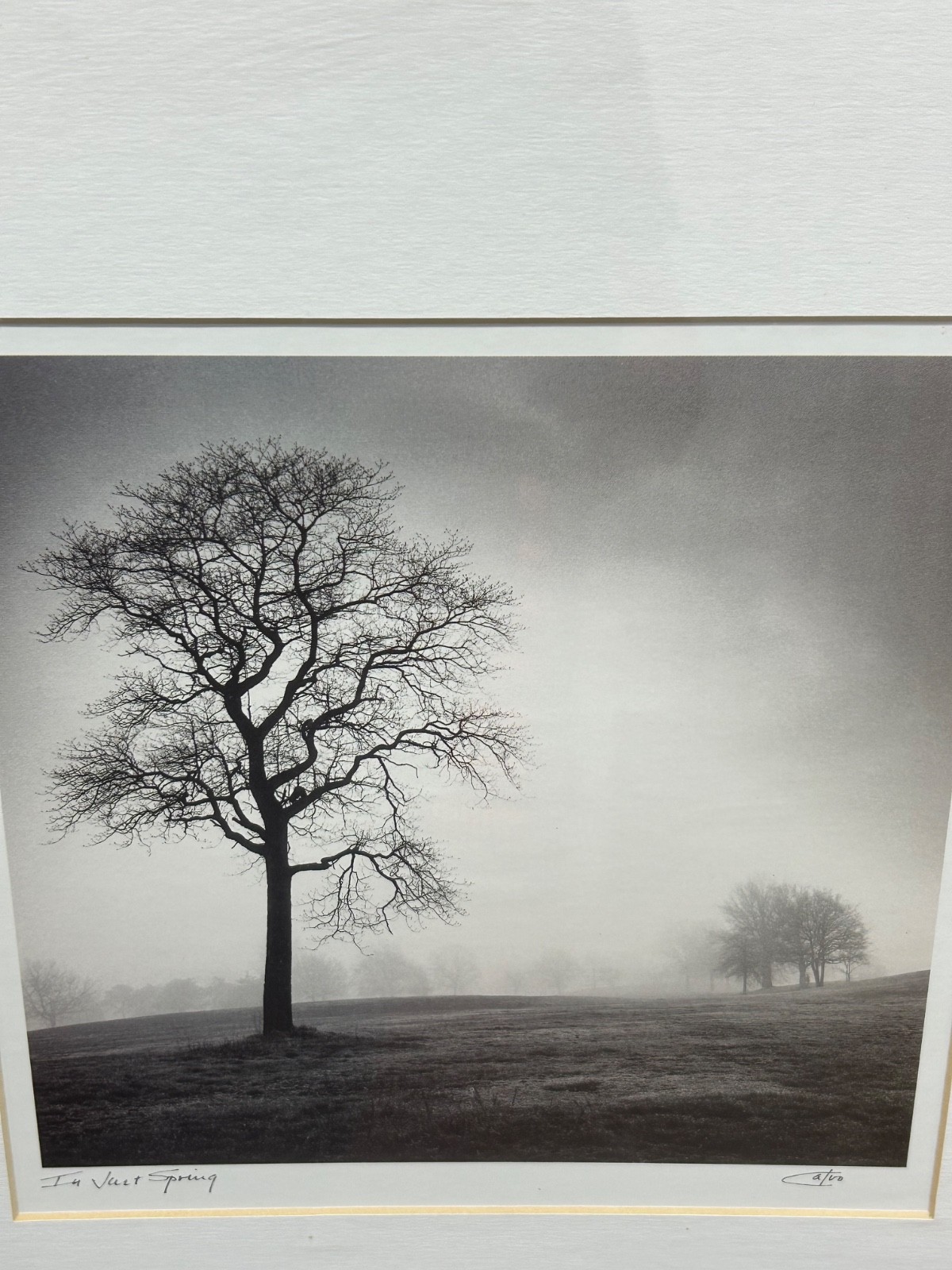 Richard Calvo ‘In Just Spring’ Framed Black & White Landscape Tree Photograph