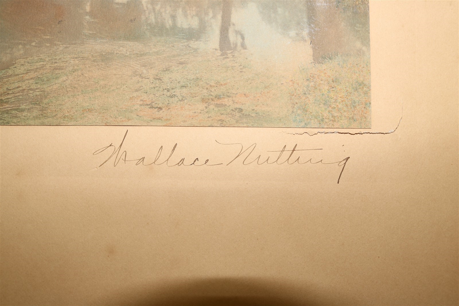 Wallace Nutting (1861-1941) Bay’s Delight, Hand-Tinted Pictorial Landscape Photo