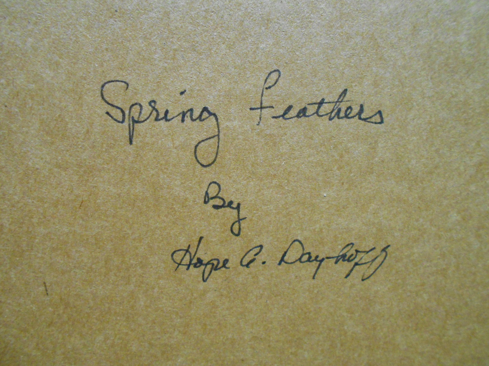 Framed Photograph – Waterfowl – “Spring Feathers” – Hope Dayhoff