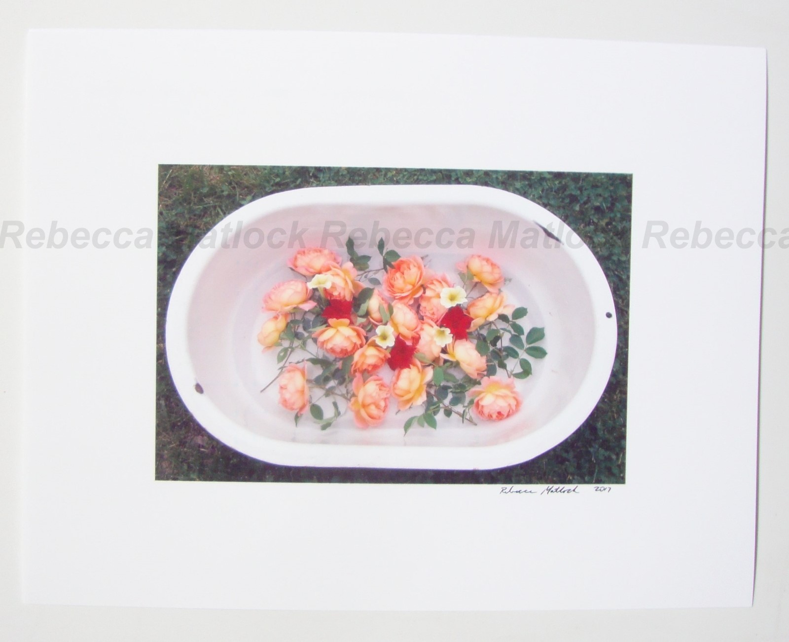 Enamel Tub of ROSES Flowers Original Photography SIGNED 2017 Fresh Bouquet