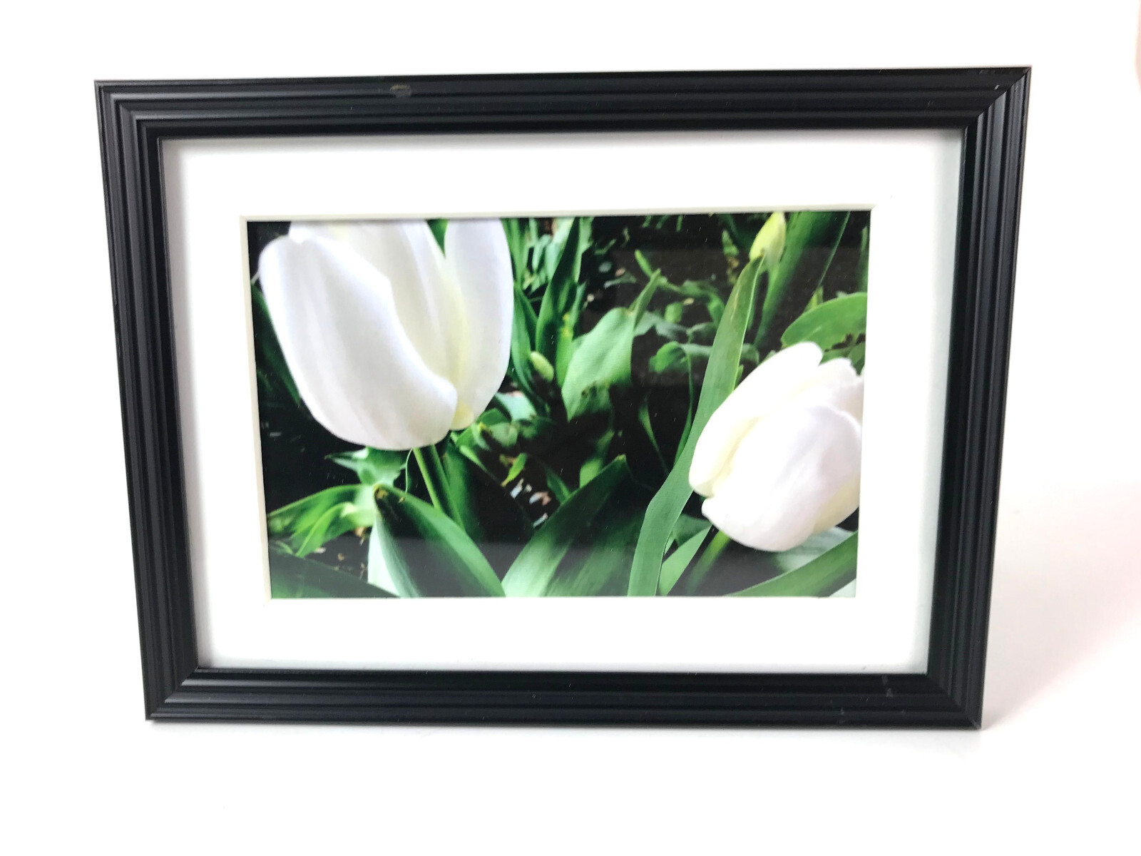 WHITE TULIPS, 4×6 ” MATTED AND FRAMED PRINT, READY TO HANG, GREAT GIFT!
