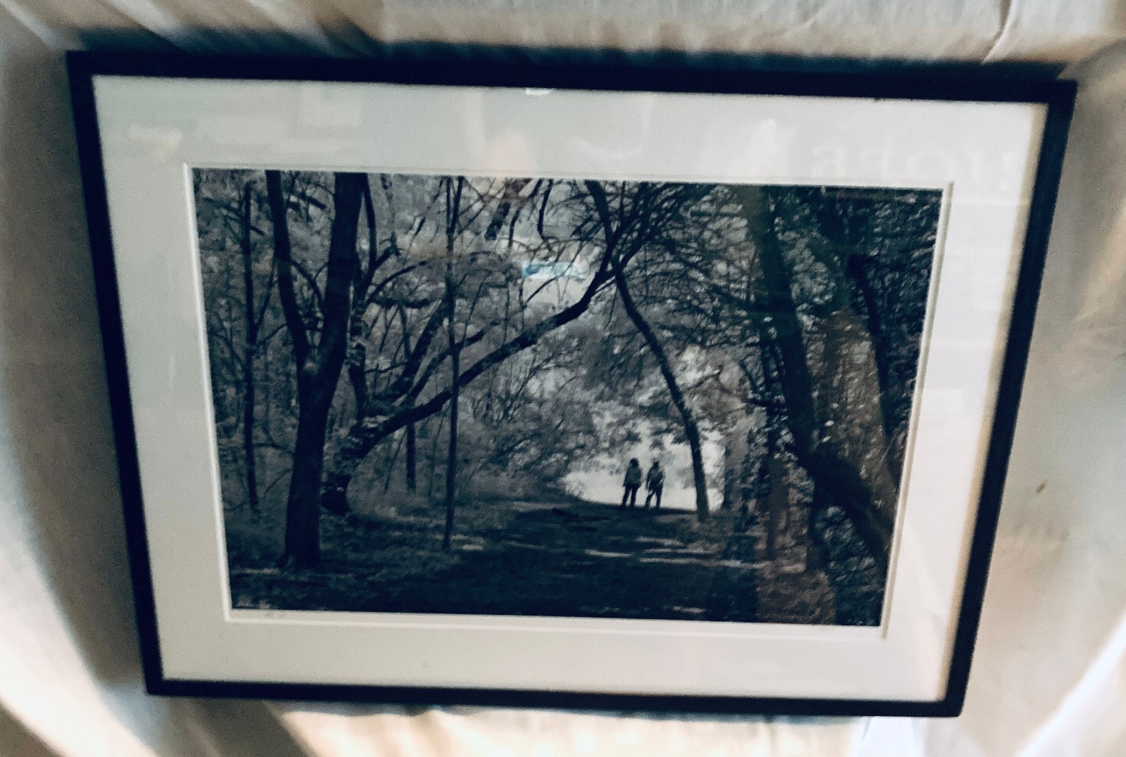 “Into the Woods” by Texas Photographer R. Maines, B&W signed, matt, glass, 1/1