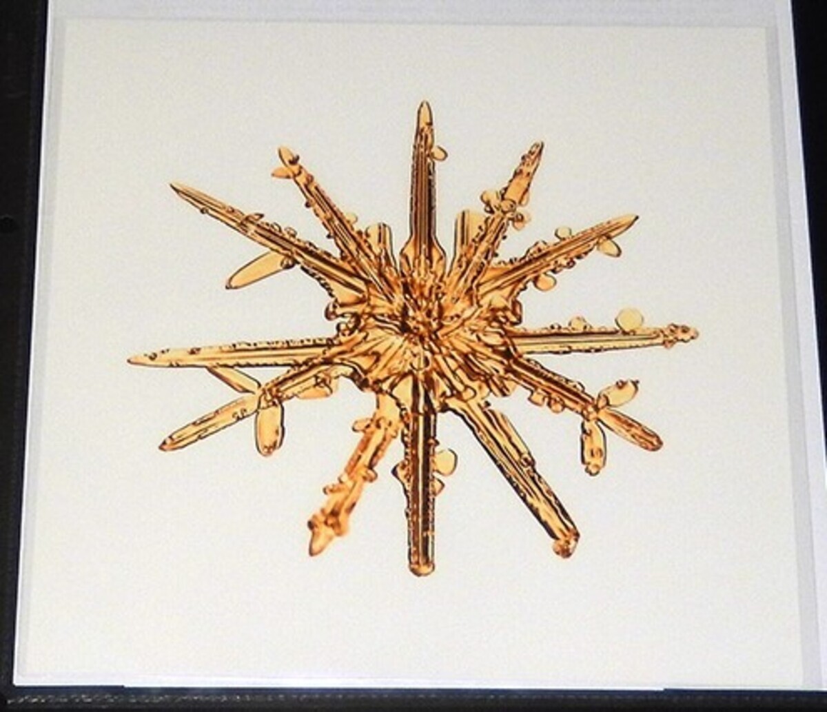 MIKE & DOUG STARN TWINS ‘Sno7,1_016 (Snowflake)’, 2005 SIGNED Photograph **NEW**