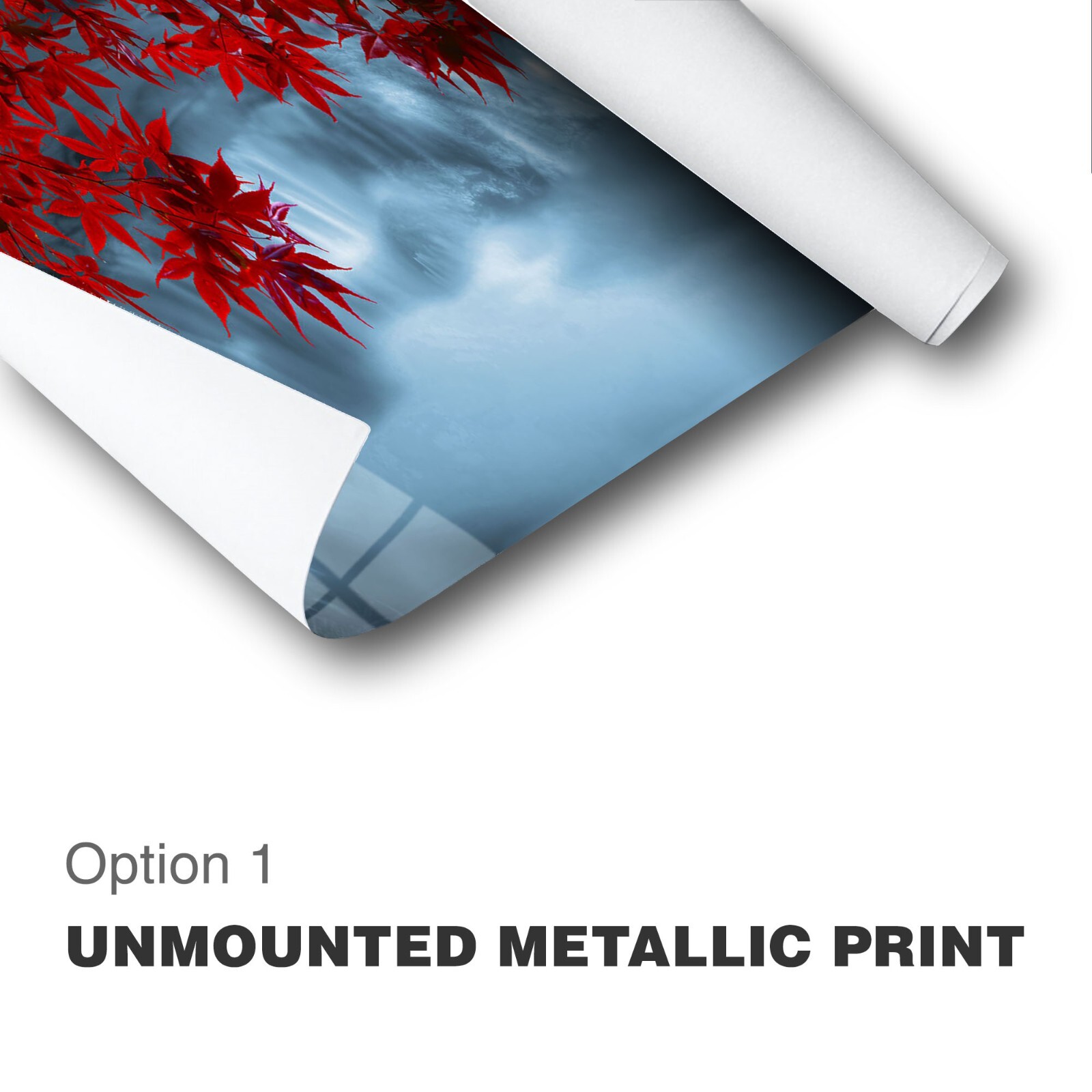Original Limited Edition Acrylic Mounted Metallic Fine Art Photograph