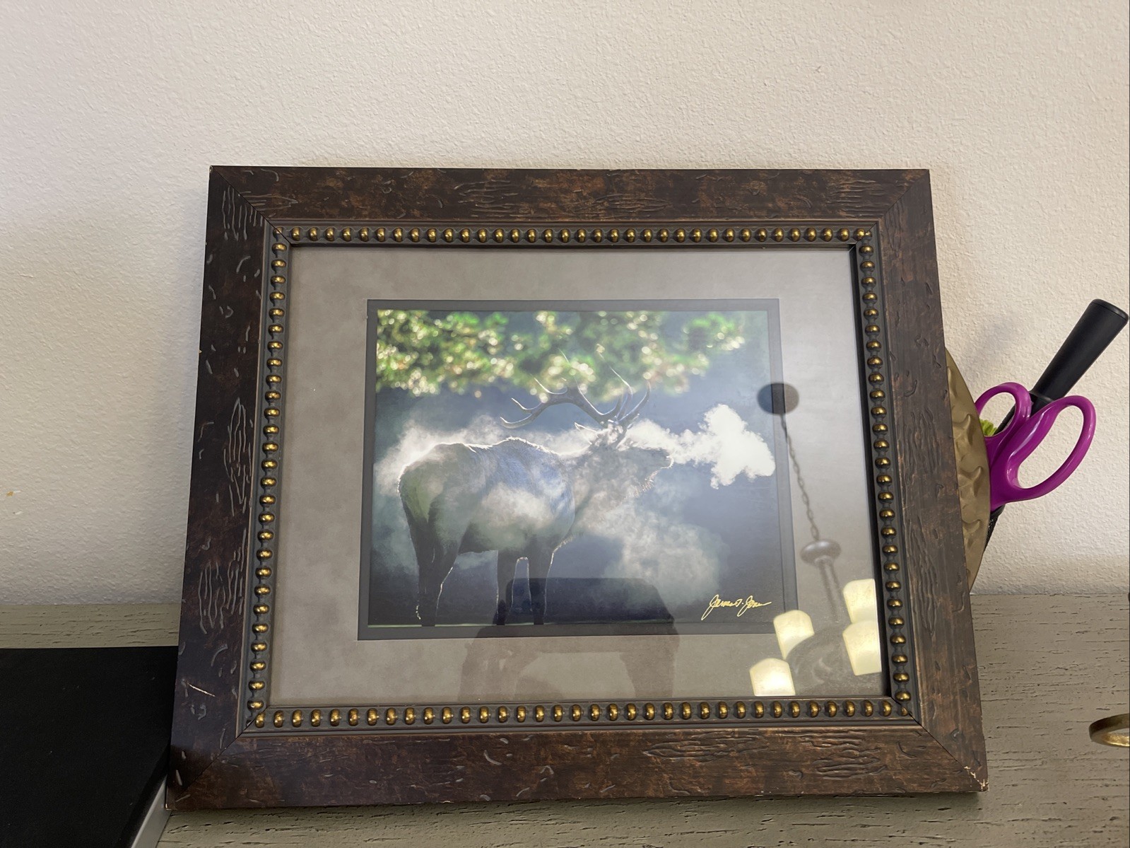 Framed and signed By James T Jones photograph Of Elk In Wildlife