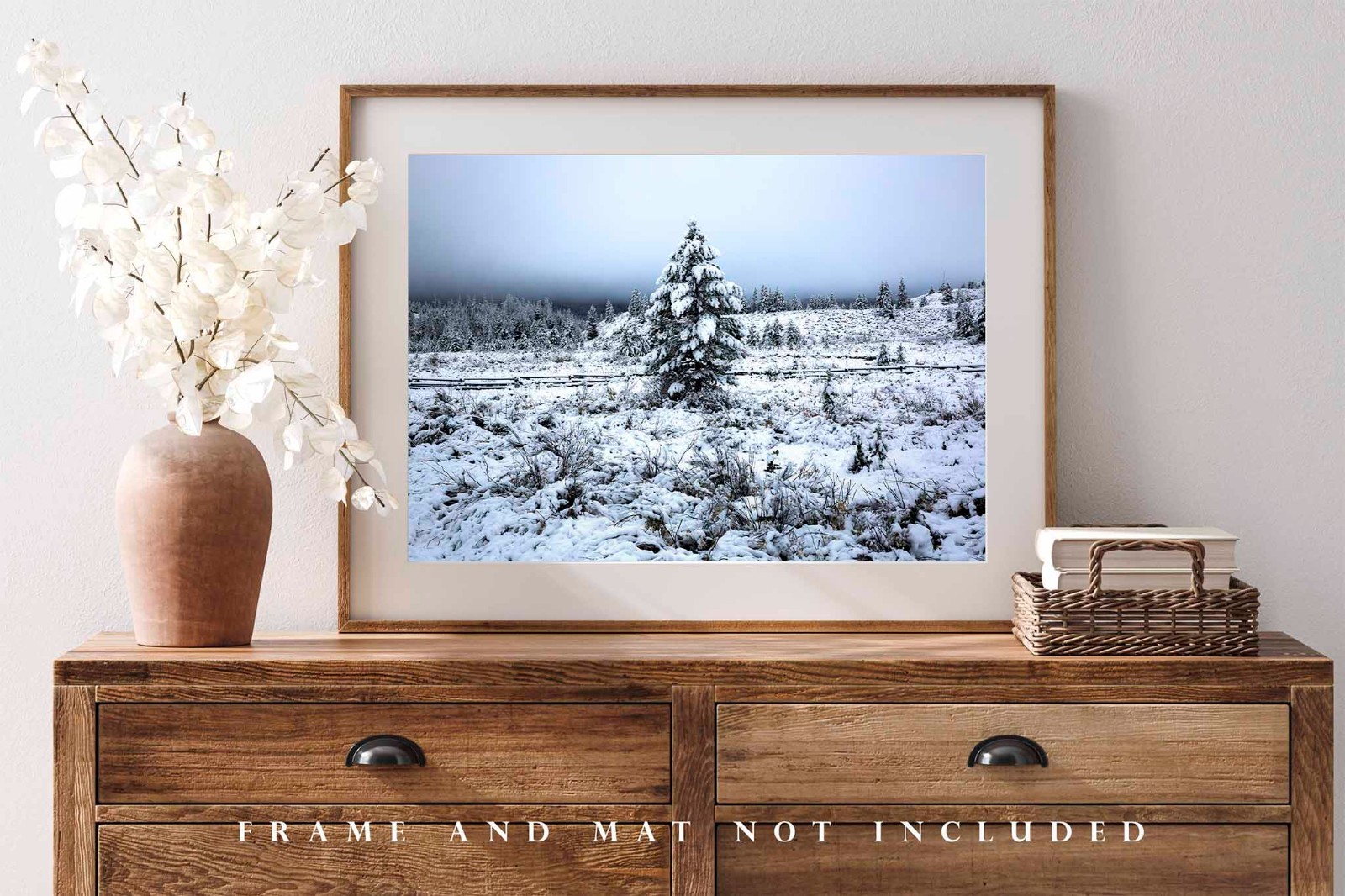 Snowy Pine Tree Photography Print: Wyoming Rocky Mountains Winter Forest Photo