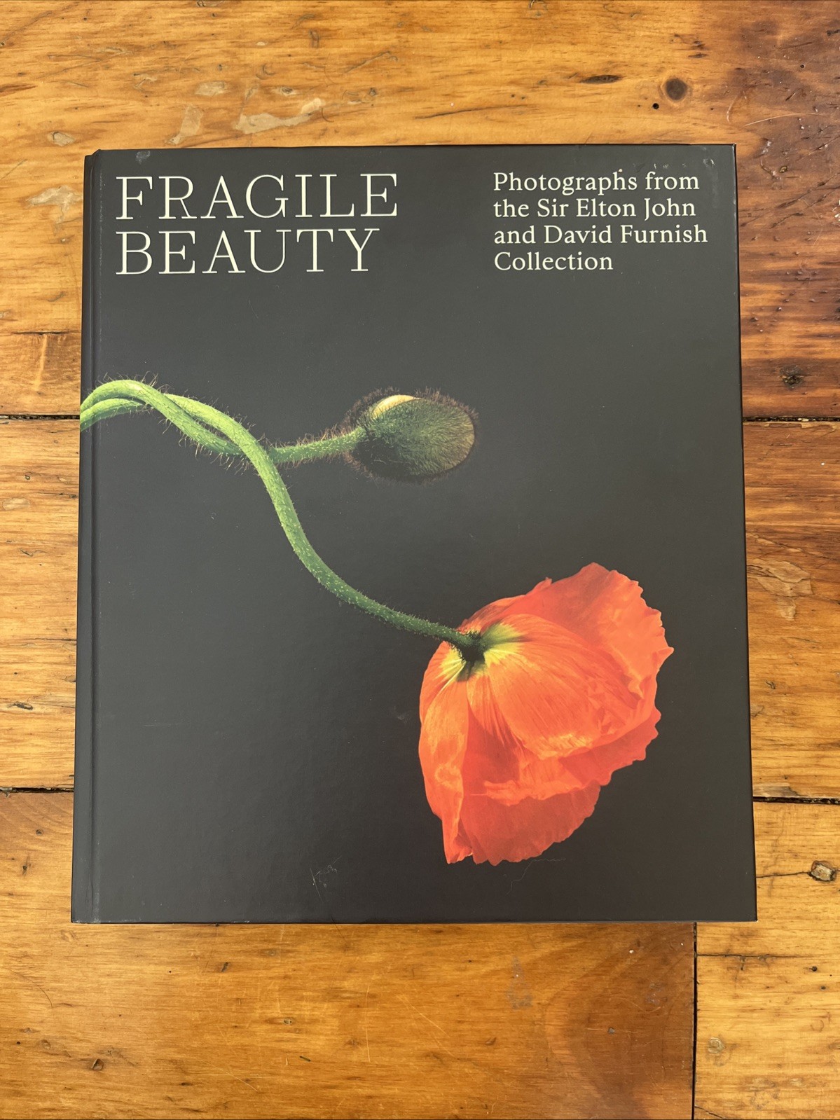 Fragile Beauty: Photographs From The Sir Elton John And David Furnish Collection