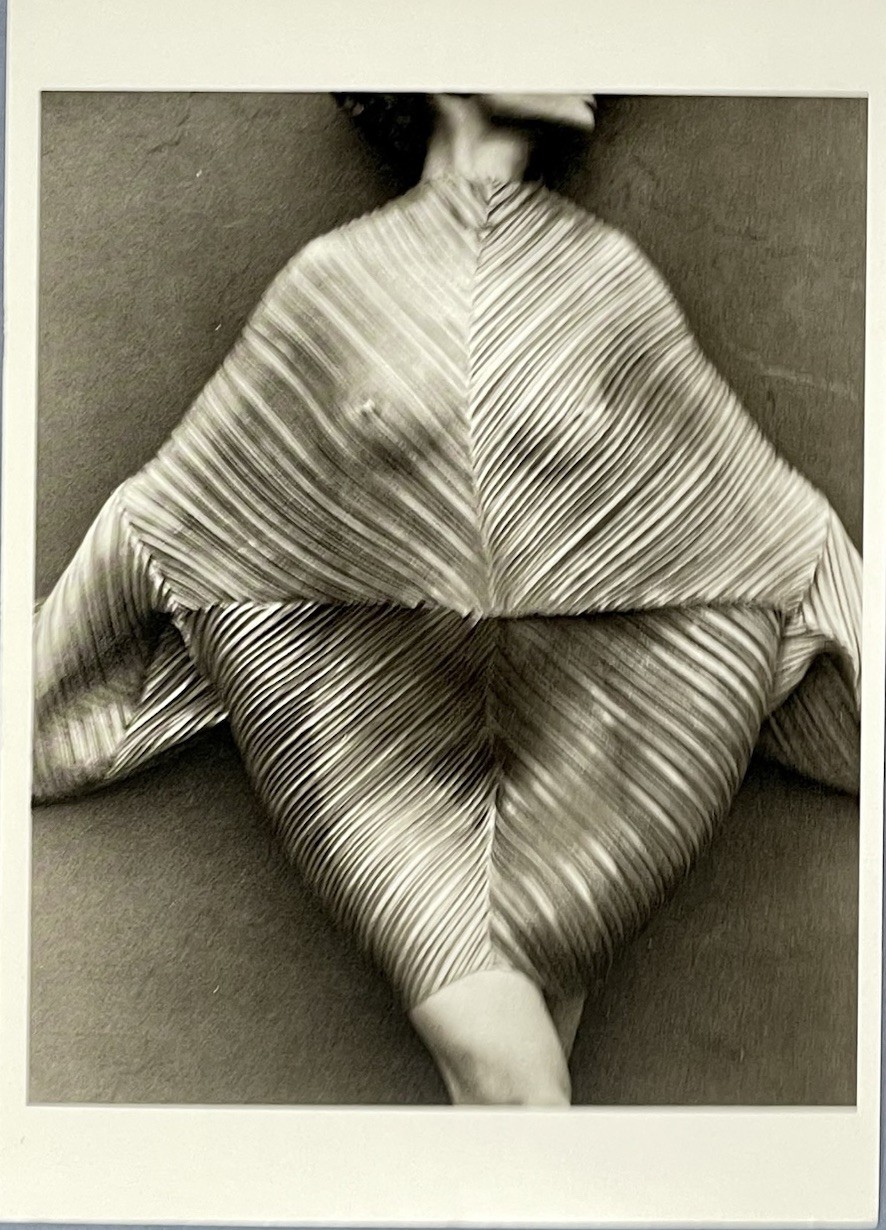 Herb Ritts Art Photo Print Card Fotofolio Fashion 4”x6” Wrapped Torso