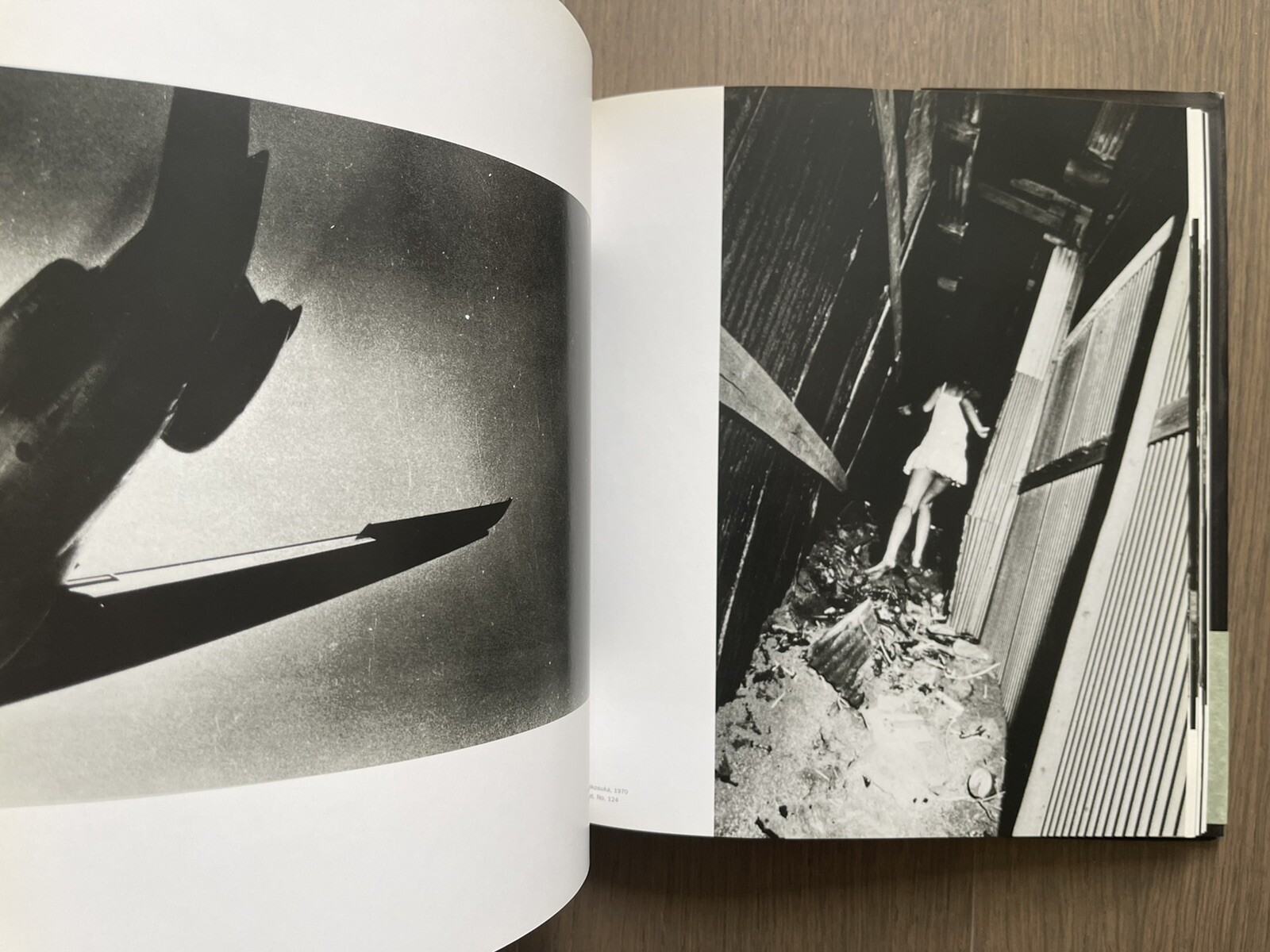 🎈RARE! +Bonus! Daido Moriyama: Stray Dog, 1999, SF Museum Of Modern Art
