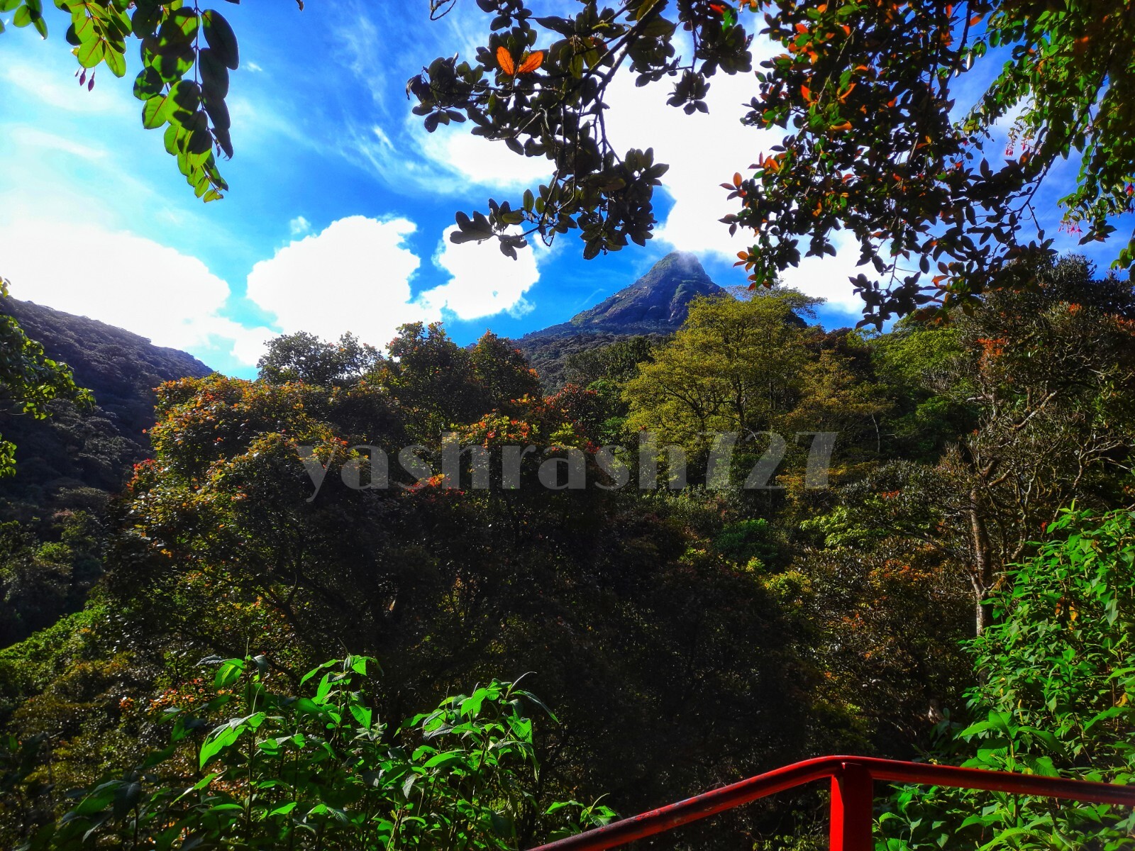 Digital Image Picture Photo Wallpaper Background Landscape Mountain Desktop Art