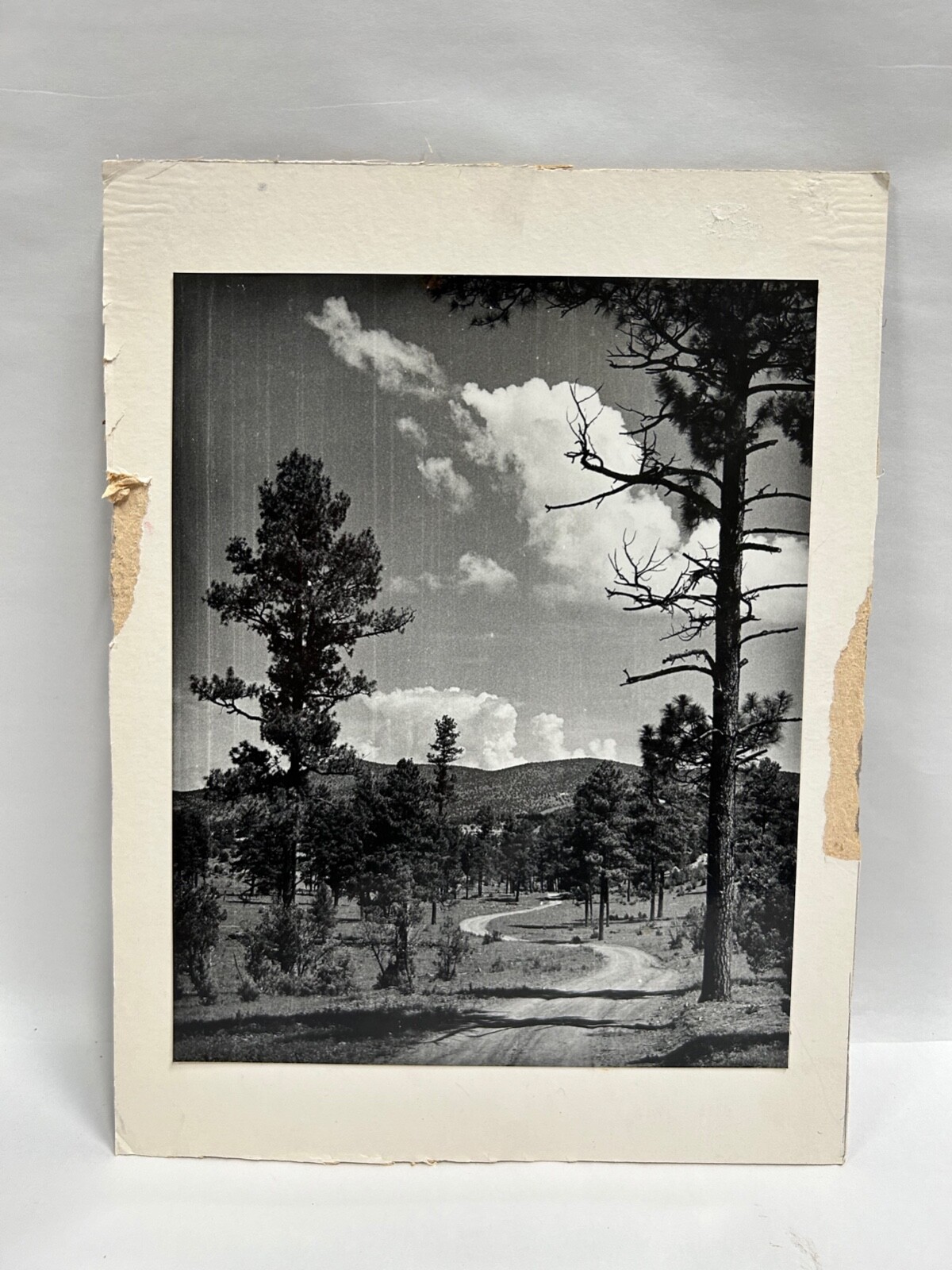 Vtg Robert Taylor New Mexico Photography Nature Landscape Photo Blk & Wht (A7)