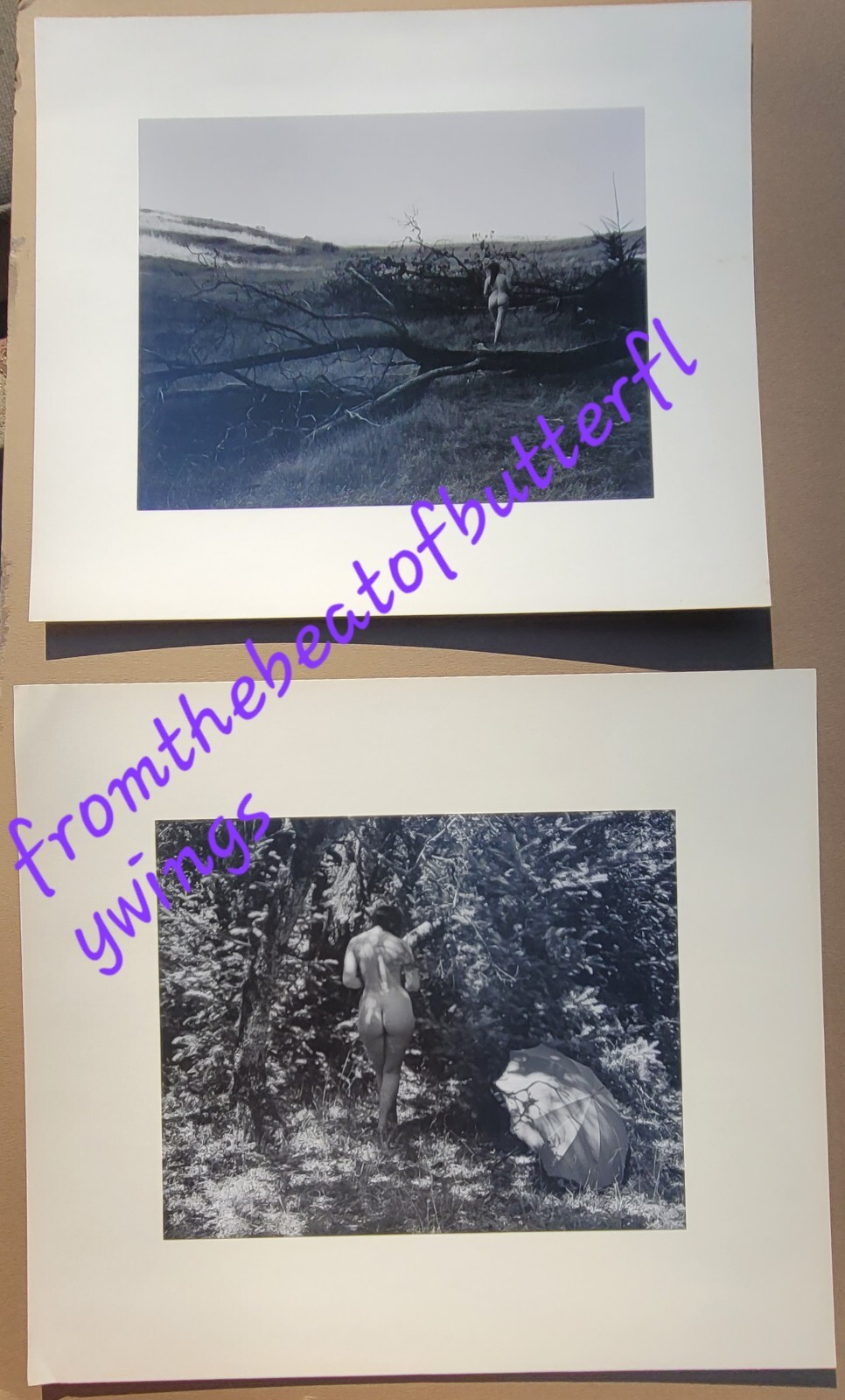 1952 Harry Bowden Vintage Photographs Black & White