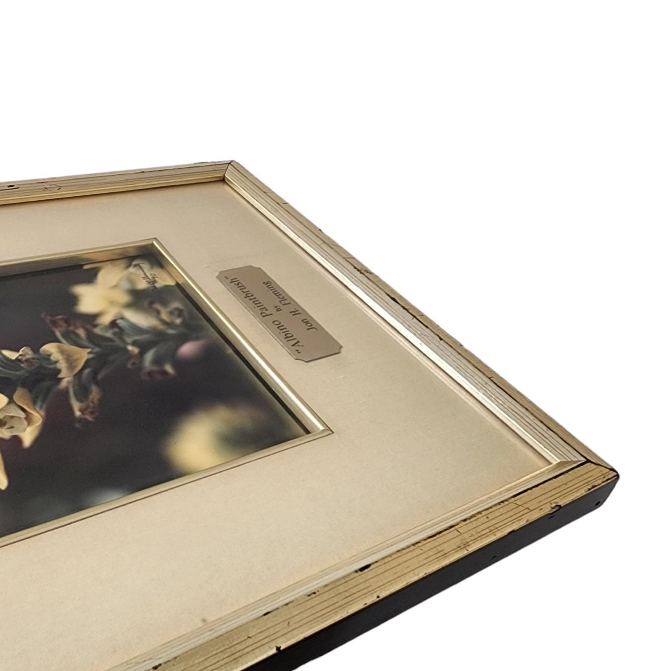 Floral Photograph Wall Art Framed Original Signed Engraved Plaque