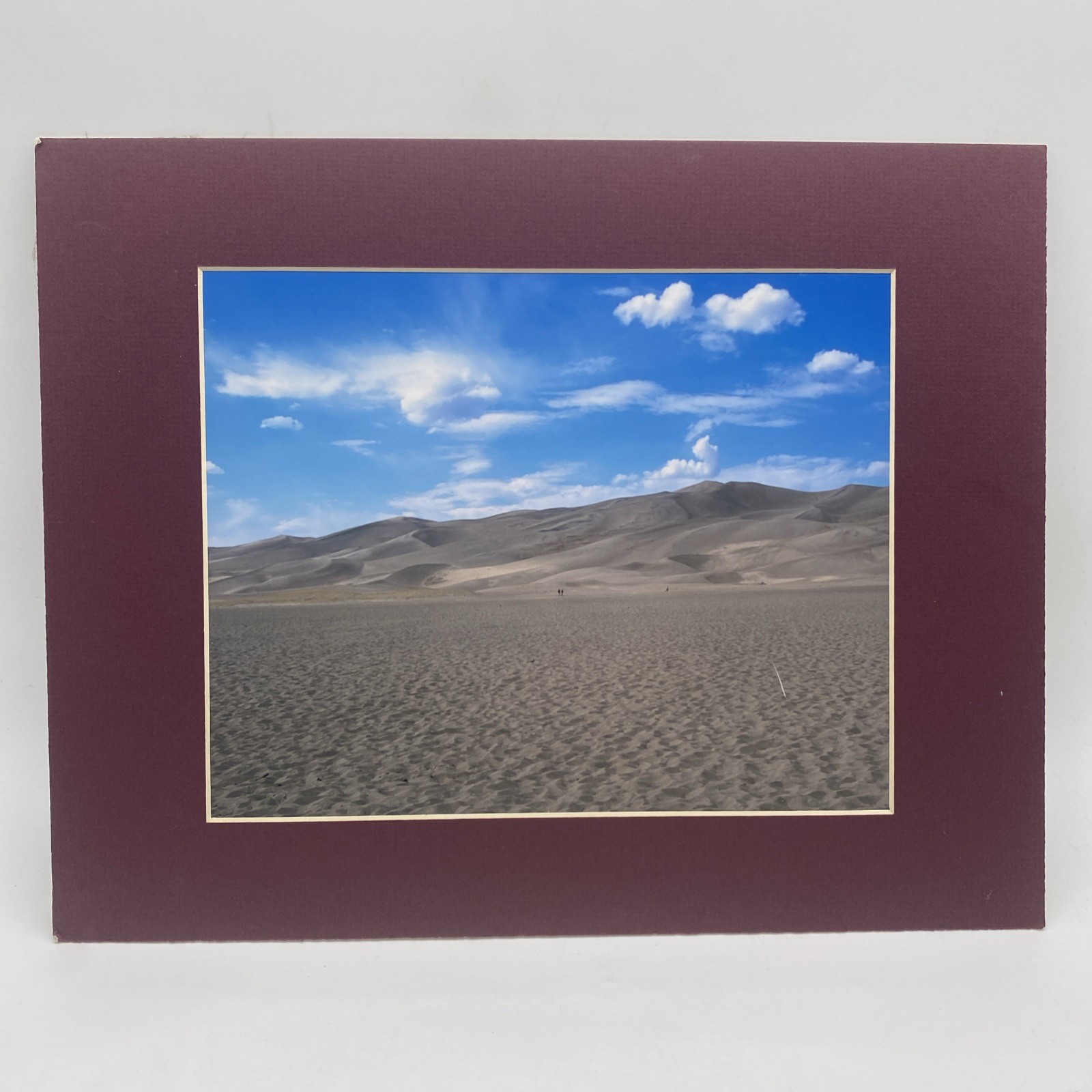 Matted Sand Dunes Desert Landscape Photo Print 11 X 14 Wall Art Gallery Decor