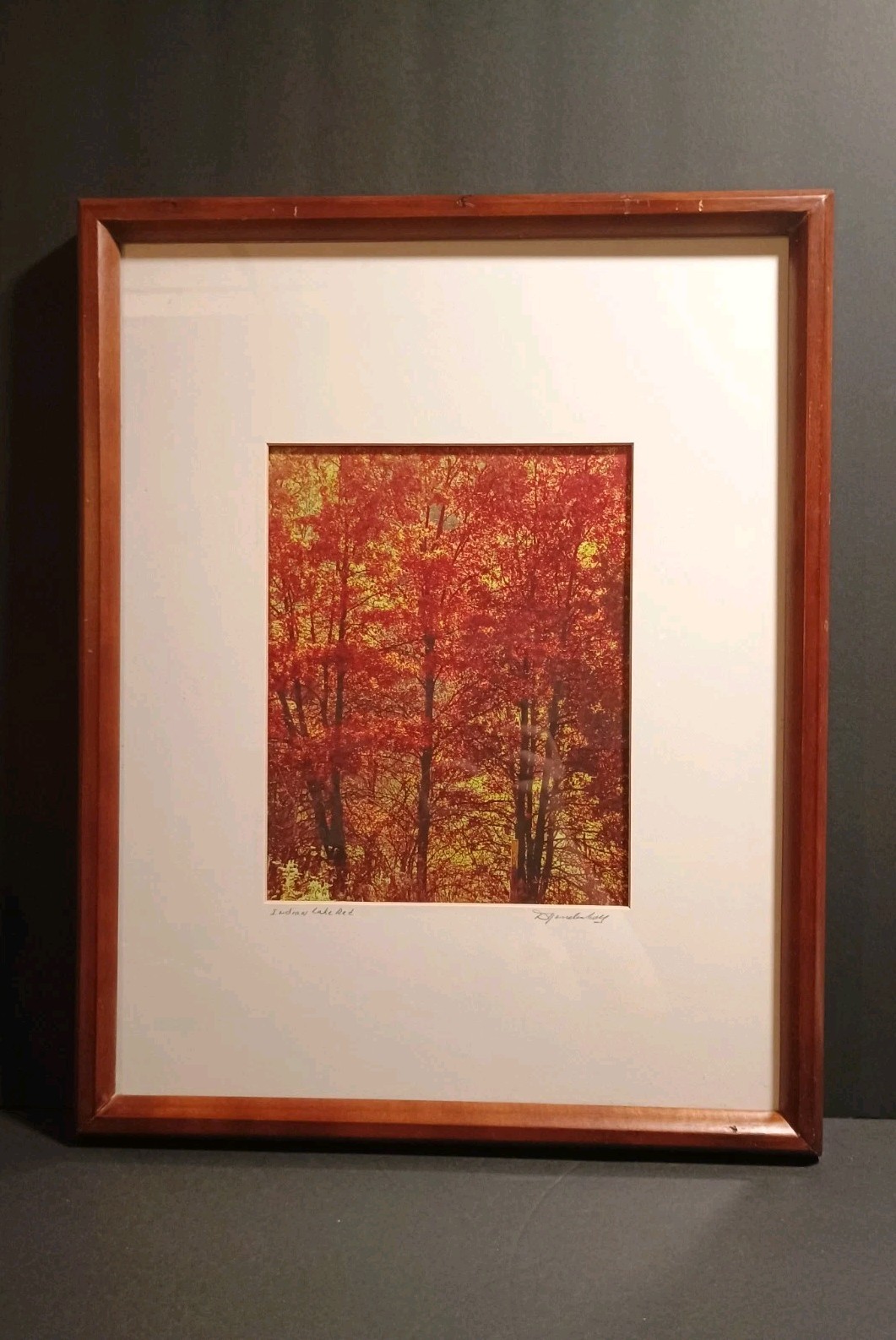 “Indian Red Lake” Signed Photography 15.5 X 19.5″ Framed & Matted 8 x 10