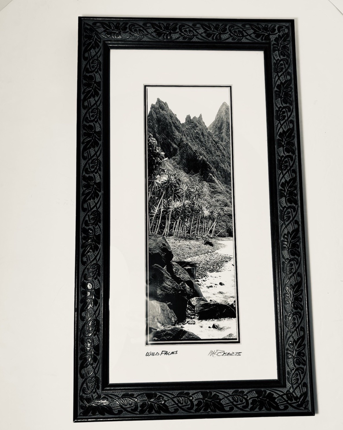 Framed Art Photograph M. Roberts “Wild Palms” Black & White 18.5” X 10.5” Signed