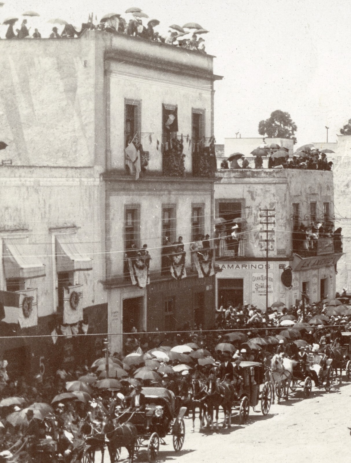 Larger size C. B. WAITE photo, Mexico City, Batlle of flowers, horses, Vintage f