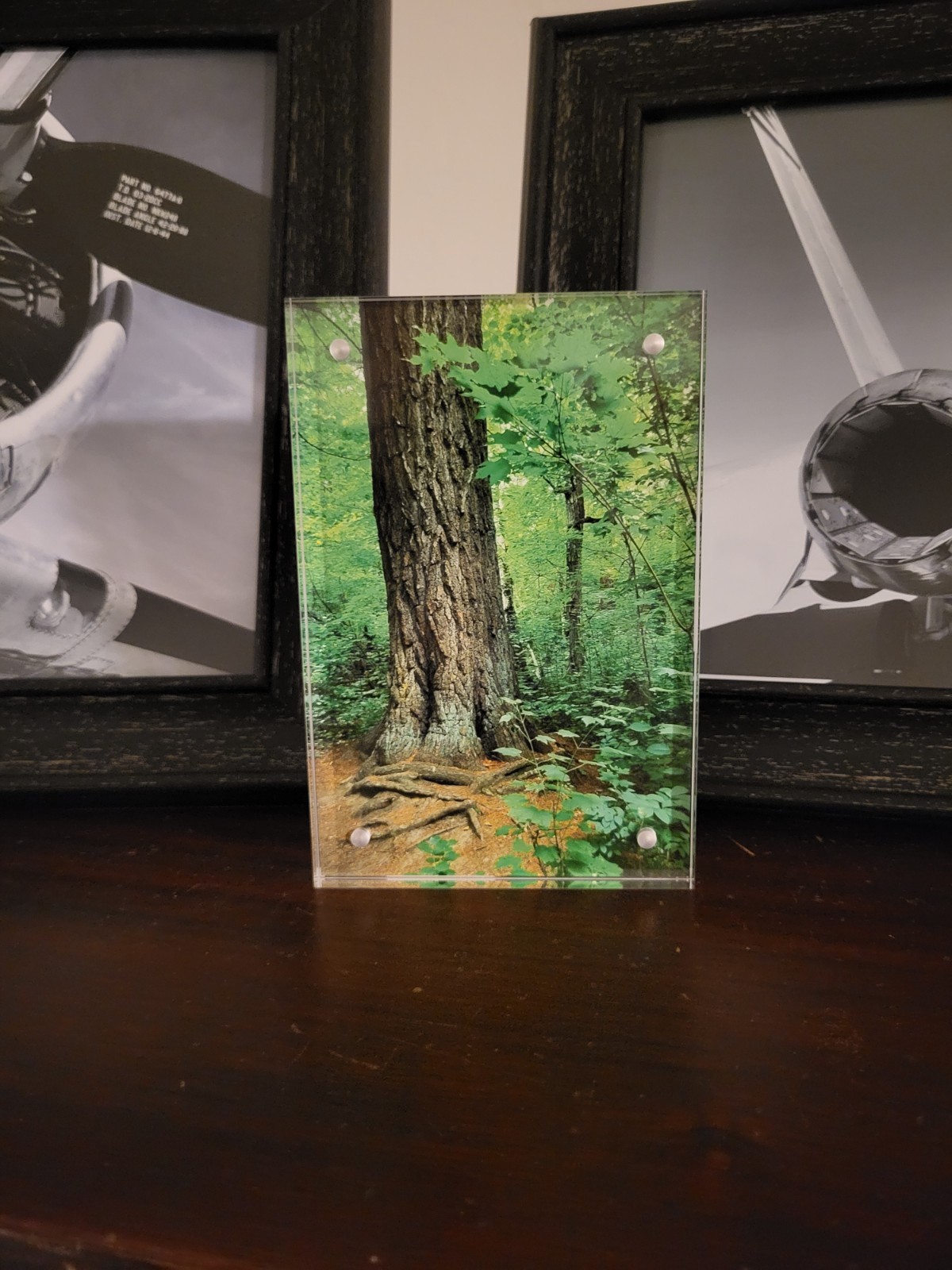 KUMAphotography – “Lost 40″ – Matte Print 4″x6” – in Acrylic Frame