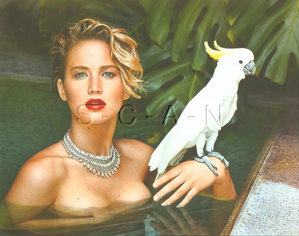 8 x 10 Color Real Photo- Well Endowed Nude Woman- Blond in Water- Parrot- Bird