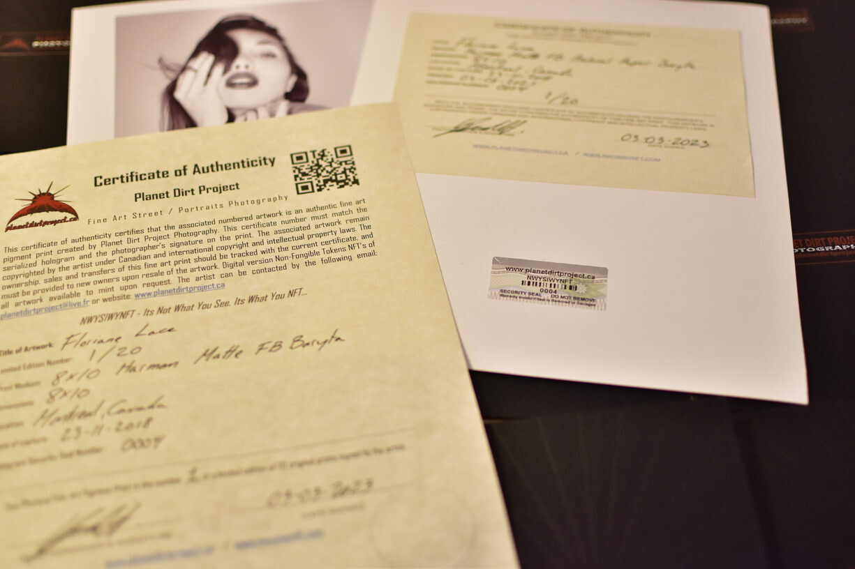 8×10 AI-Generated Fine Art Prints – Limited Edition with Signed Certificate -059