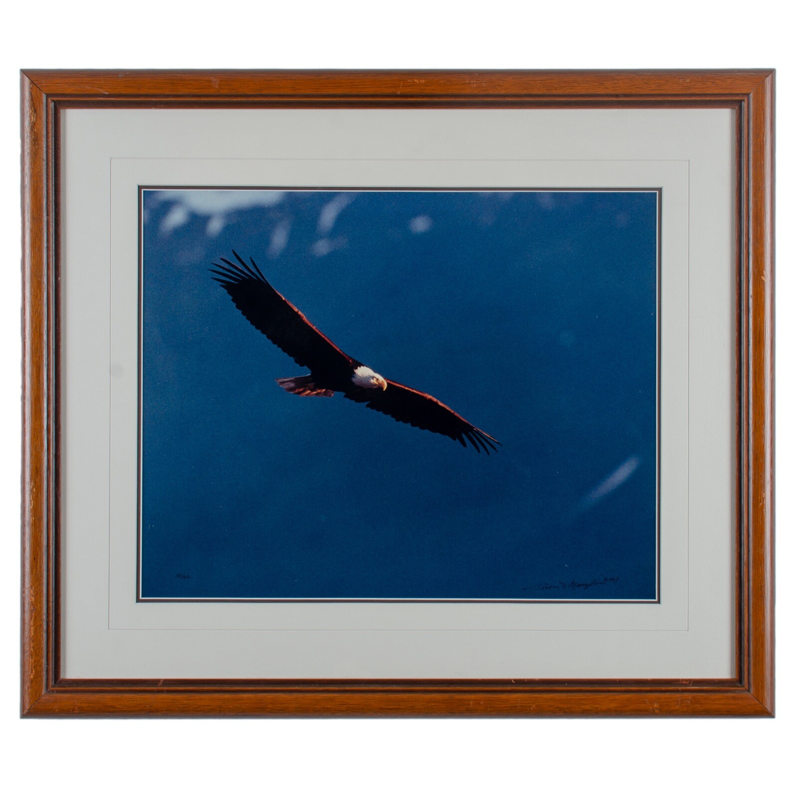 “Last Light”, Bald Eagle, by Thomas Mangelson, Alaska c.1987
