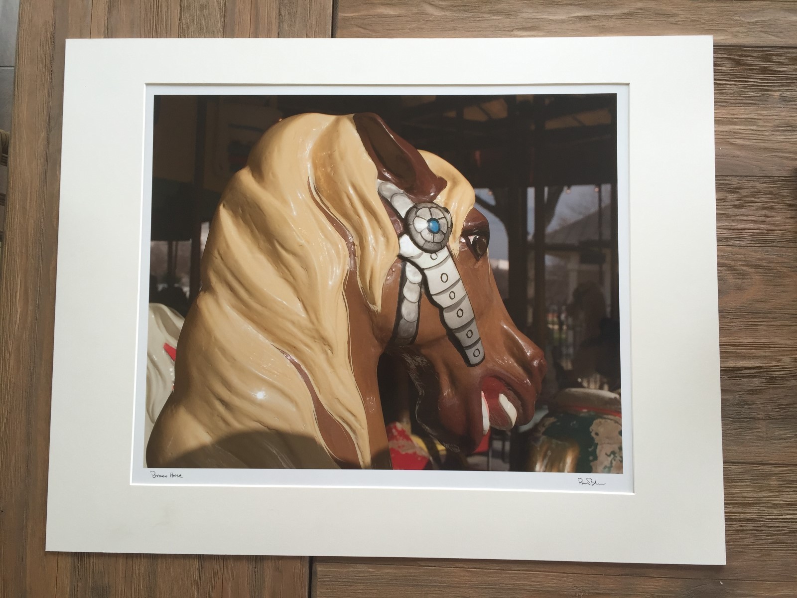 BRUCE BLUM SIGNED Color Photo Print (20″X 25 “)-“Brown Horse “