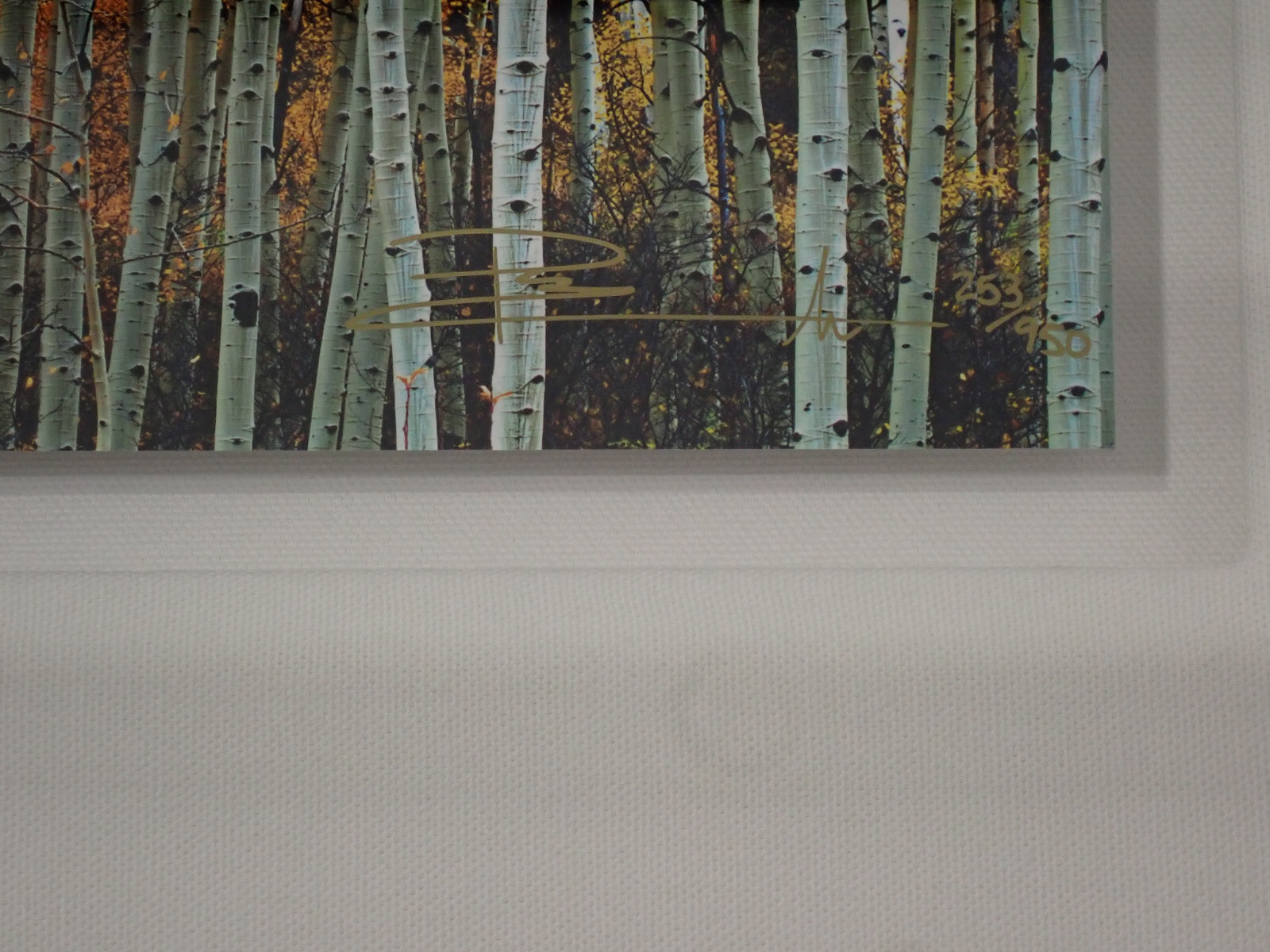 Peter Lik “Harmony” Aspen Trees Photograph 253/950