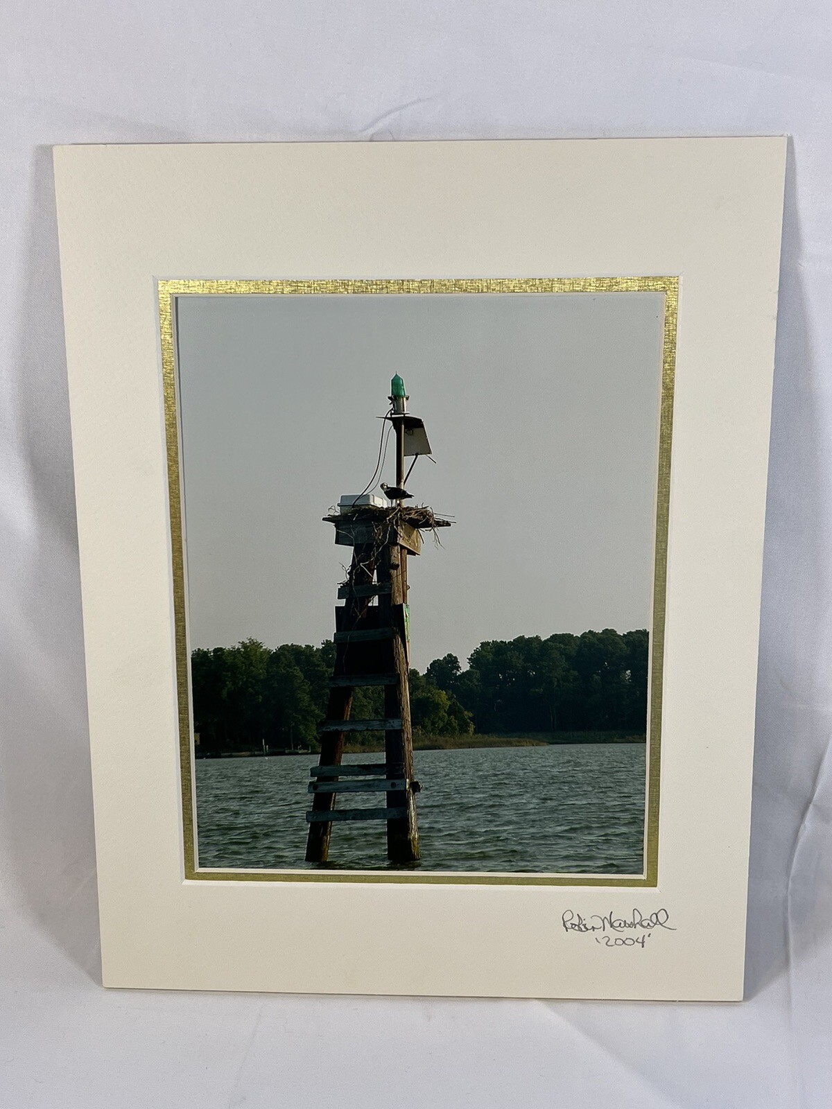 Original Signed Photograph Robin Marshall Waterfowl Osprey And Nest 11×14’’