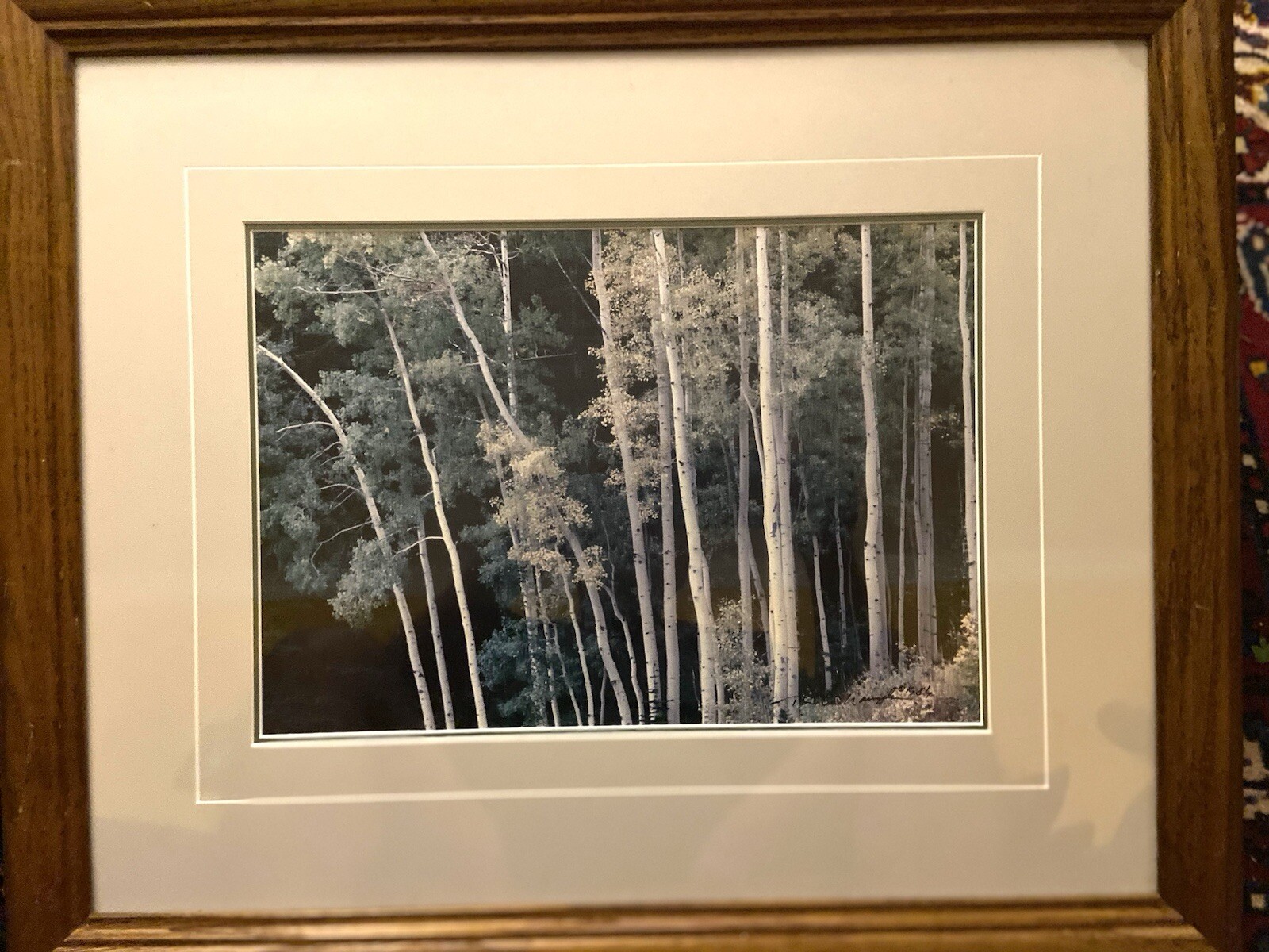 THOMAS D MANGELSEN Original Photograph