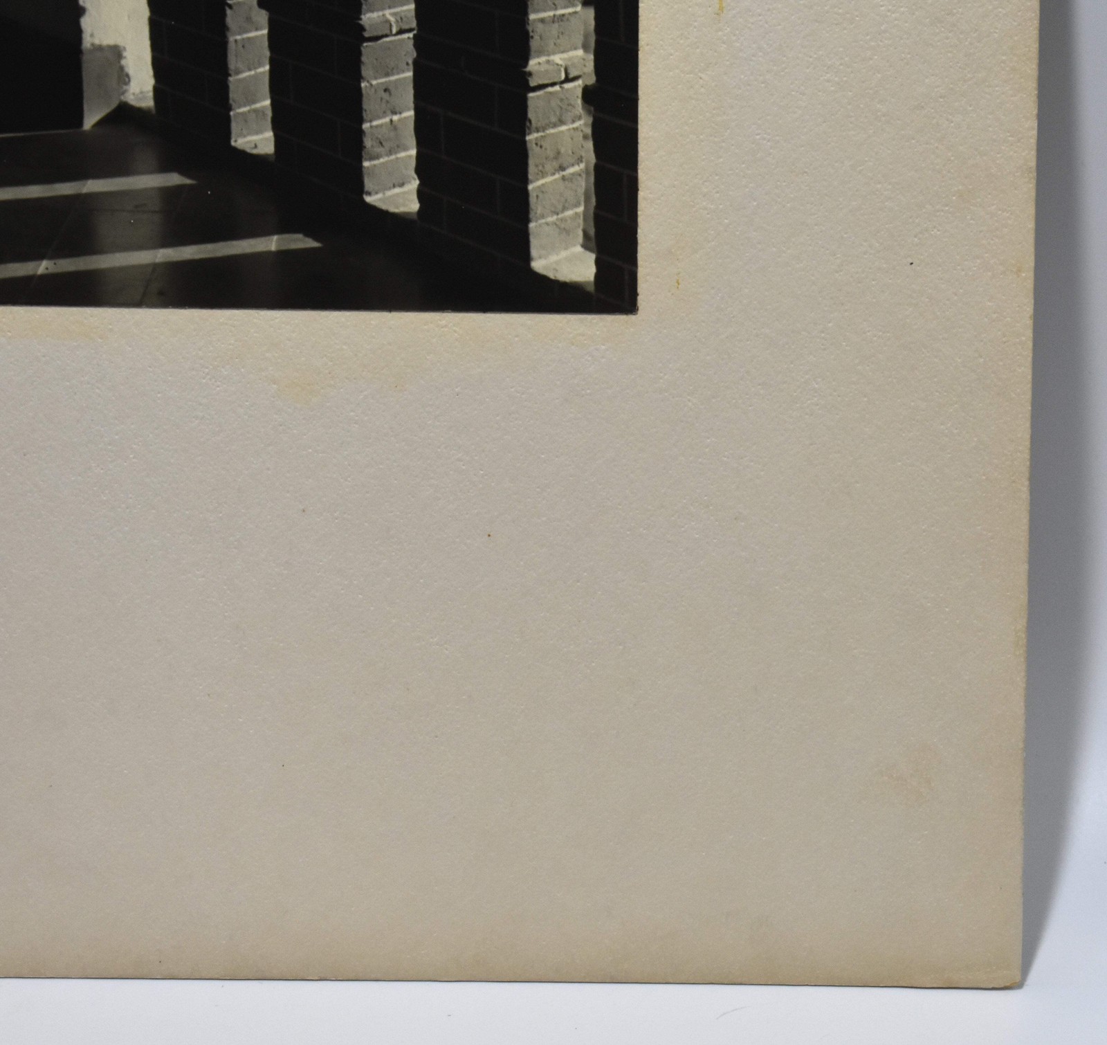 Vintage James W. Howlett Black and White Photograph Focusing on a Potted Plant
