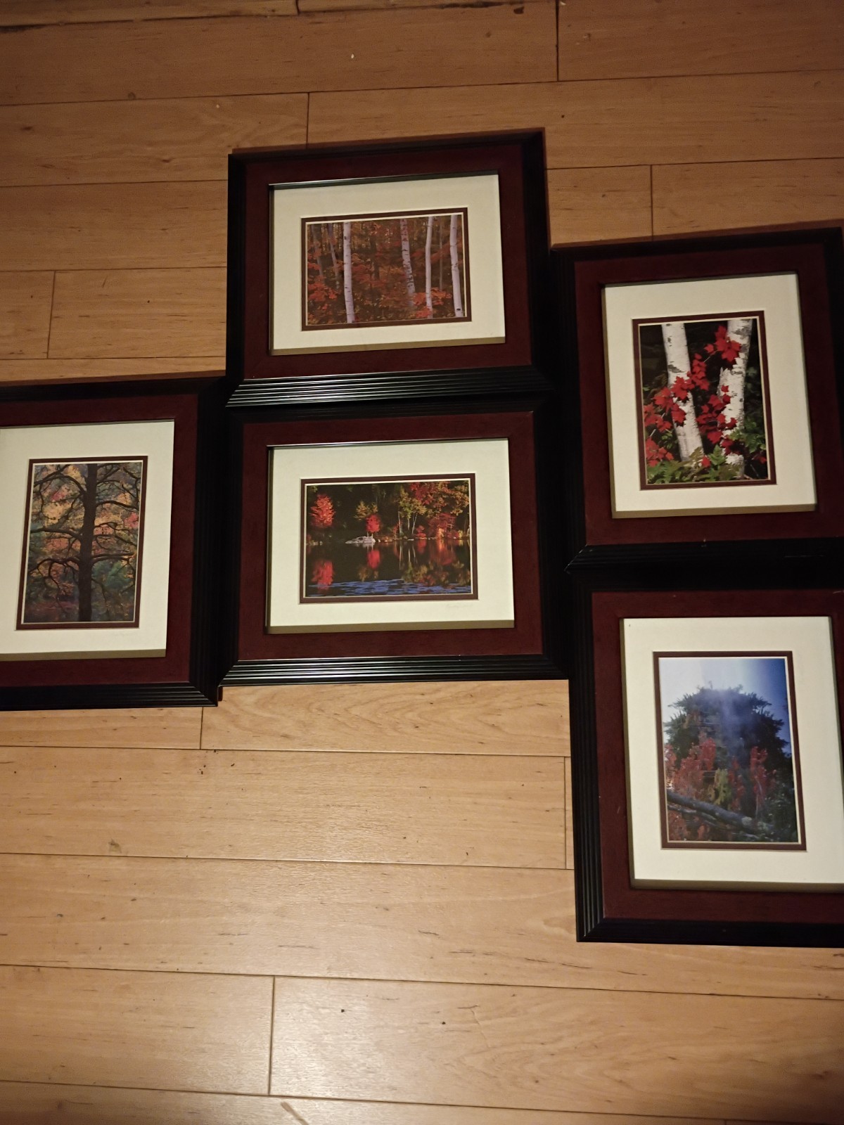 5-Piece Framed Timothy Wolcott Fine Art Photography Collection 4 Signed 1 Not