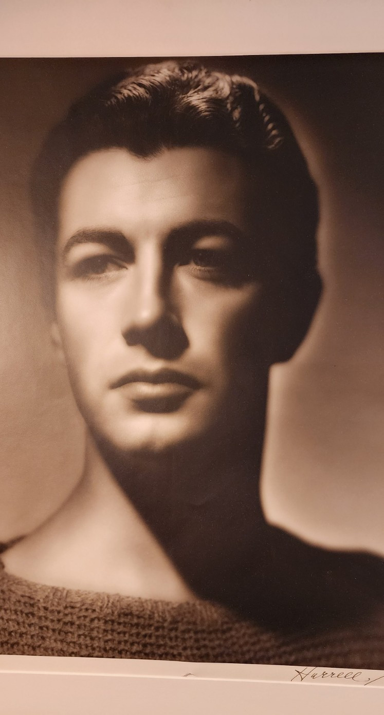 LARGE HURRELL SIGNED 16 X 20 ROBERT TAYLOR PORTRAIT HANDSOME HOLLYWOOD GLAMOUR