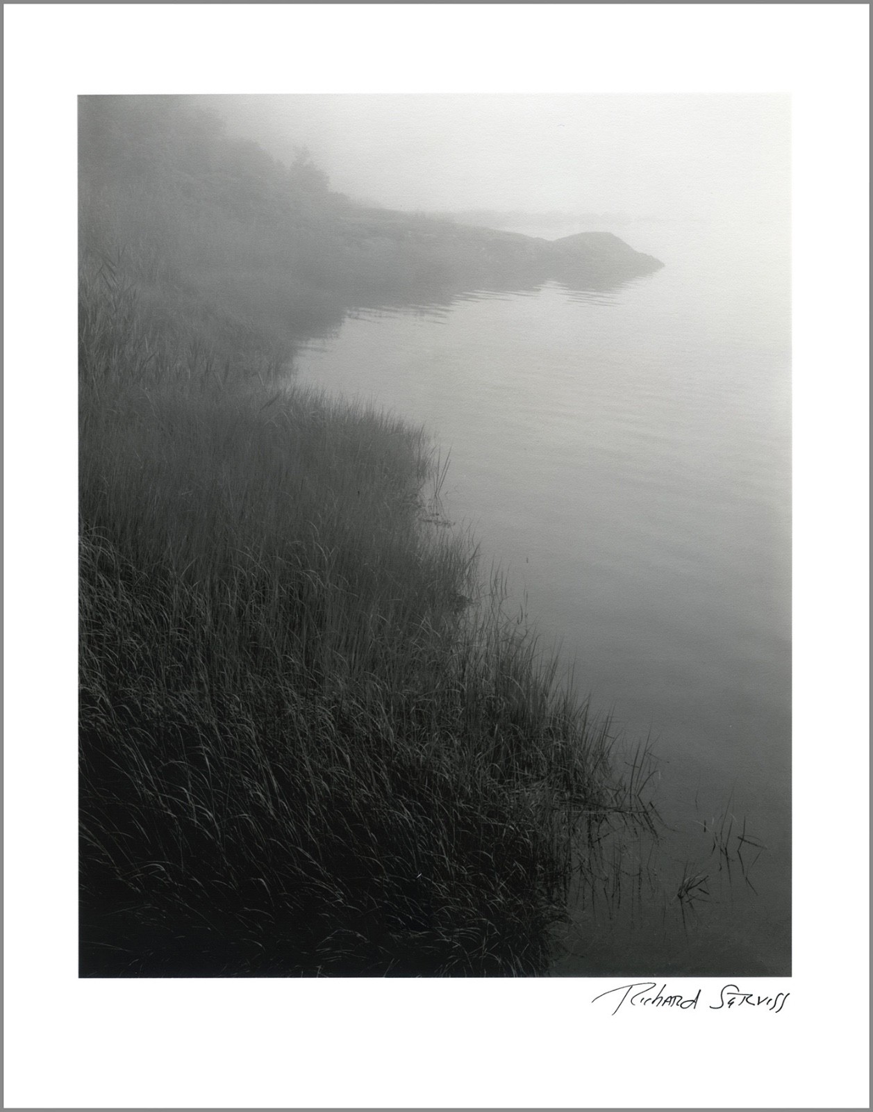 New York City Nature – 11×14” Print – Signed by Photographer Richard Serviss