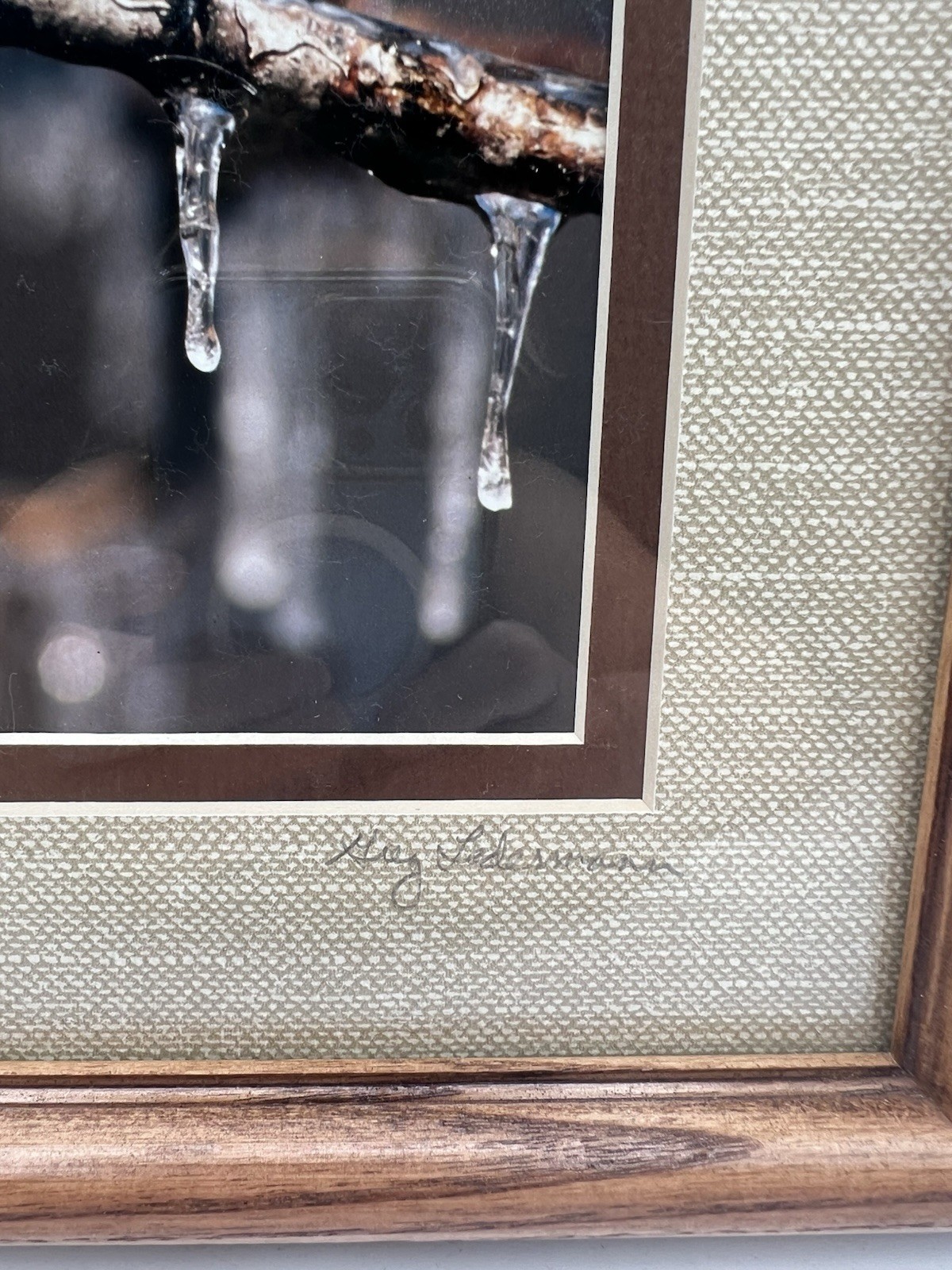 Chickadee On A Branch Original Photography Wooden Framed Signed Greg Ledermann