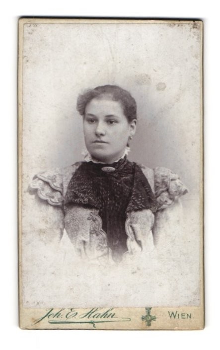Photograph Joh. E. Hahn, Vienna, Mariahilferstr. 105, Young Lady in Dress with Kra