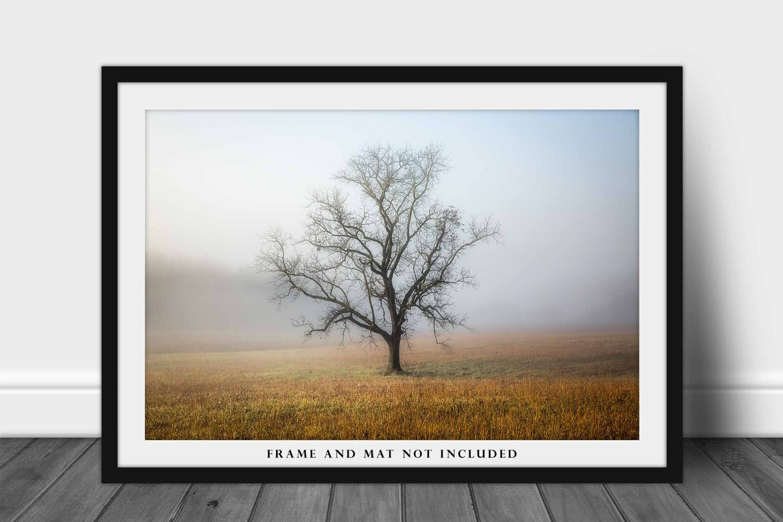 Great Smoky Mountains Photography Print: Tennessee Tree Fog Nature Smokies Photo