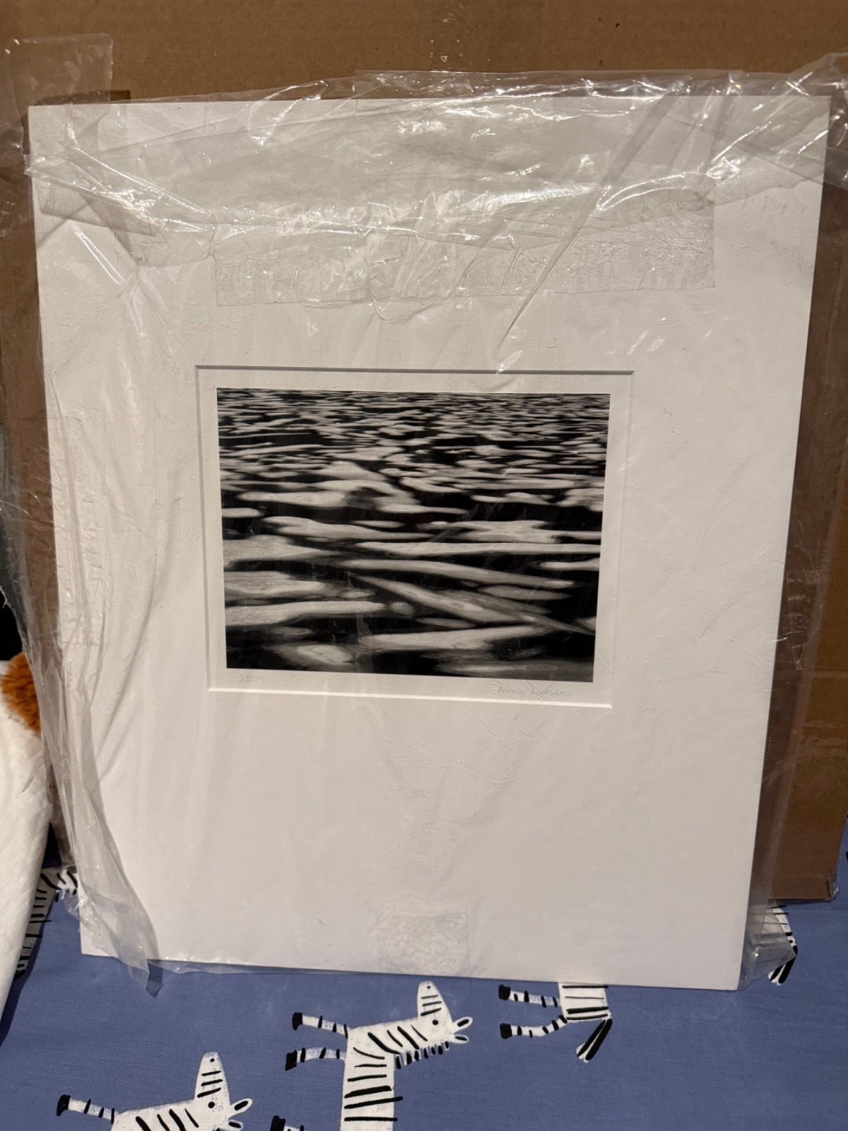 Original silver gelatin print by Anne Larsen ‘Ice Forms – Irwin Lake, CO – 2004’