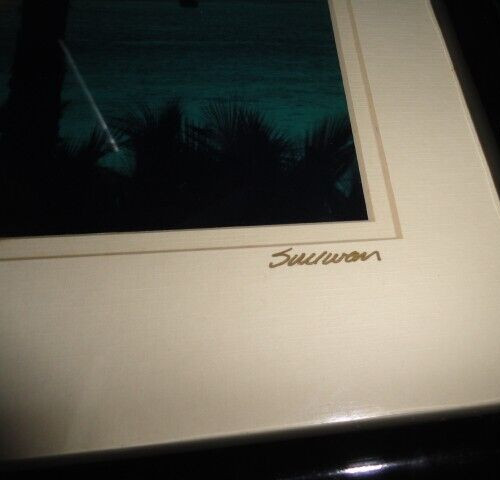 Key West Mallory Square Photo in Black Lacquer Frame Measure 16.25″ H x 13.25″ W