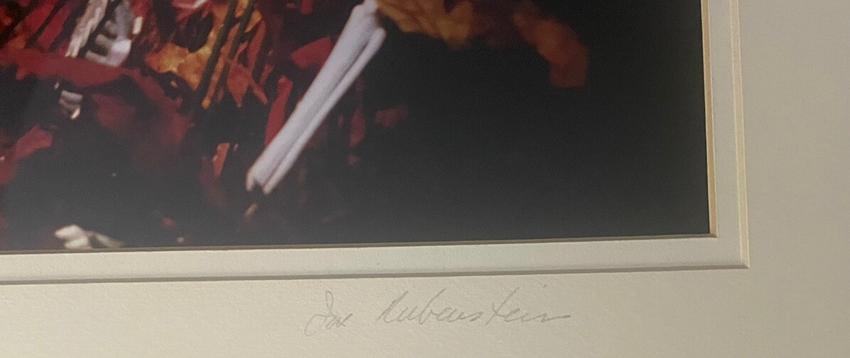 Cibachrome Photo Iriving Rubenstein Armageddon Skeleton Exhibition