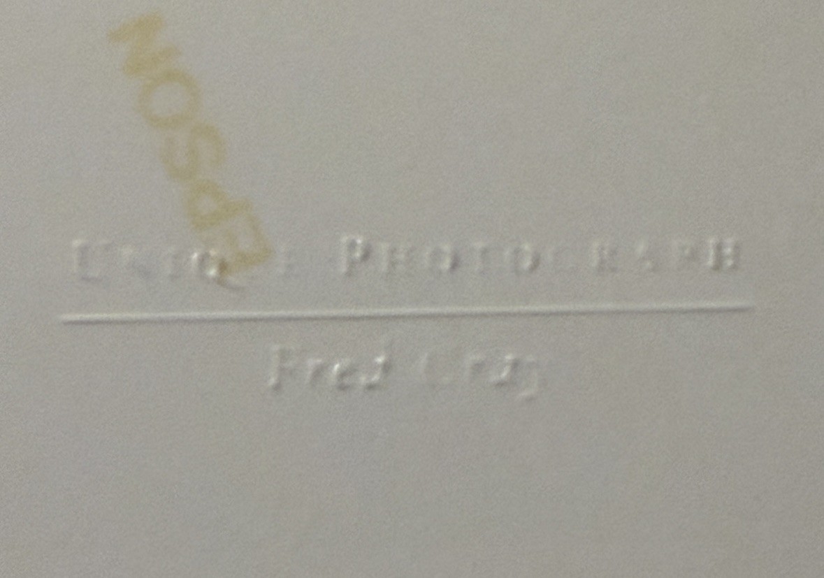 FRED CRAY (1957- PRESENT) NEW YORK CITY UNIQUE FIGURE PORTRAIT PHOTOGRAPH