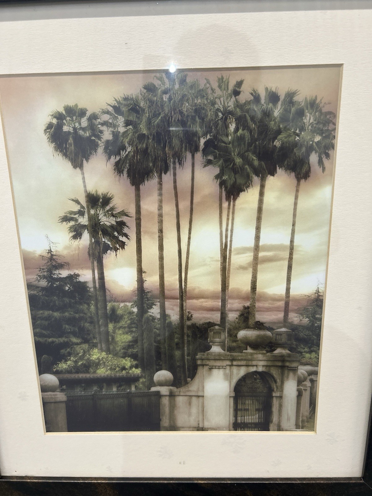 Vintage Serene Palms Framed Photograph Palms View by John Bilecky Vintage Art