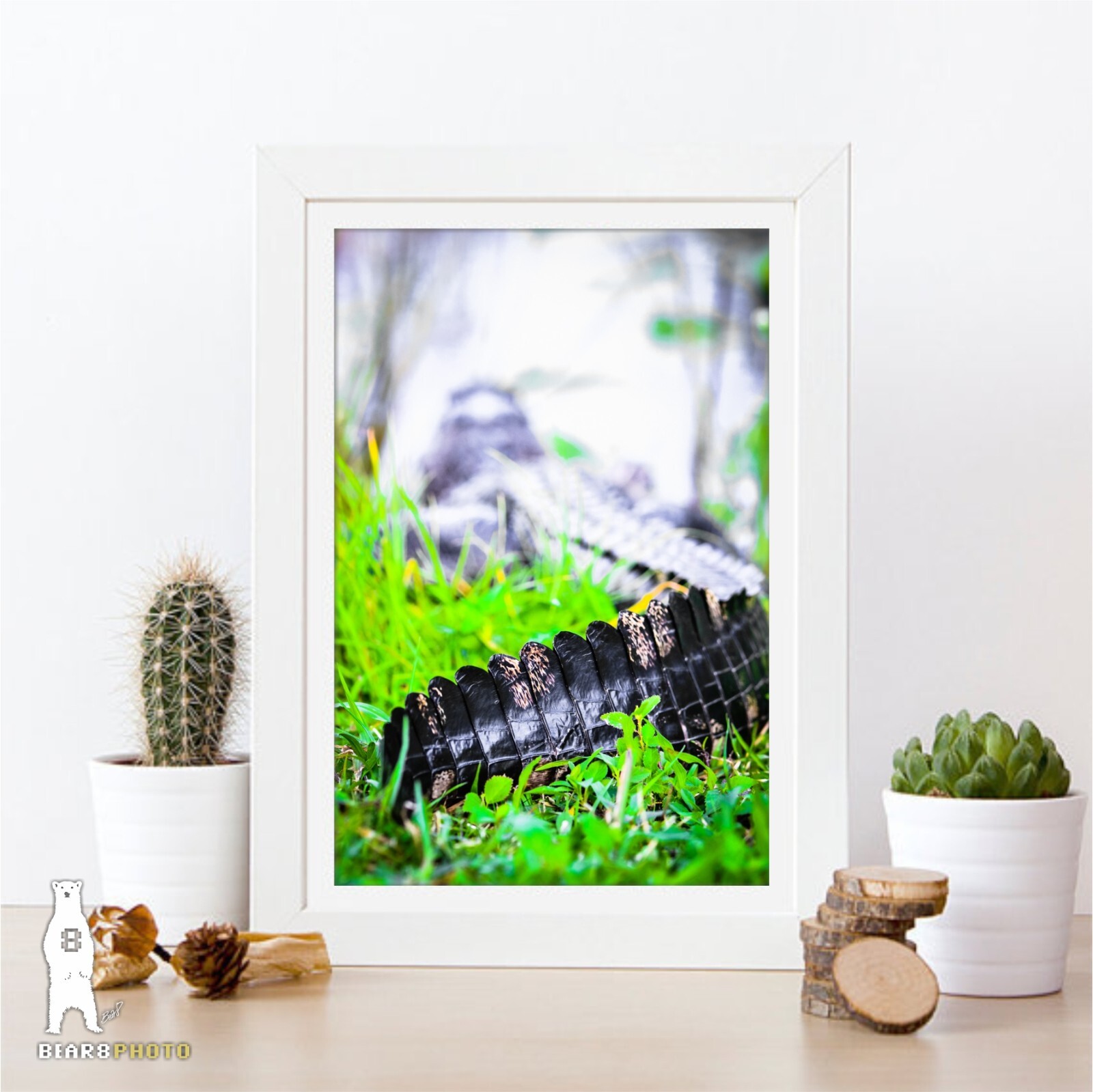 Alligator – Fine Art Photography Prints – by Bear8Photo