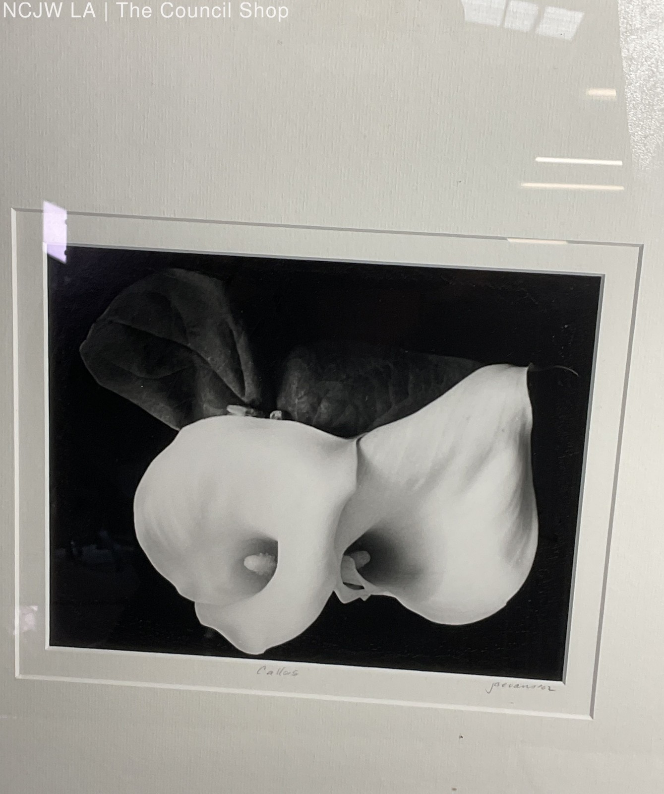 Callas By JC Evans 2002 Framed Signed Photograph