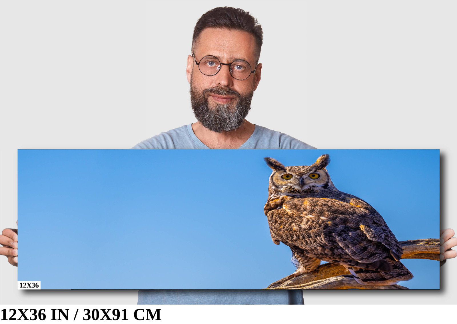 Twilight Guardian: Horned Owl On a Branch Wildlife Wall Art Print