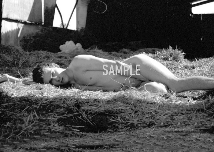 ROLLING IN THE HAY Gay Interest Borderless 5×7 Photo