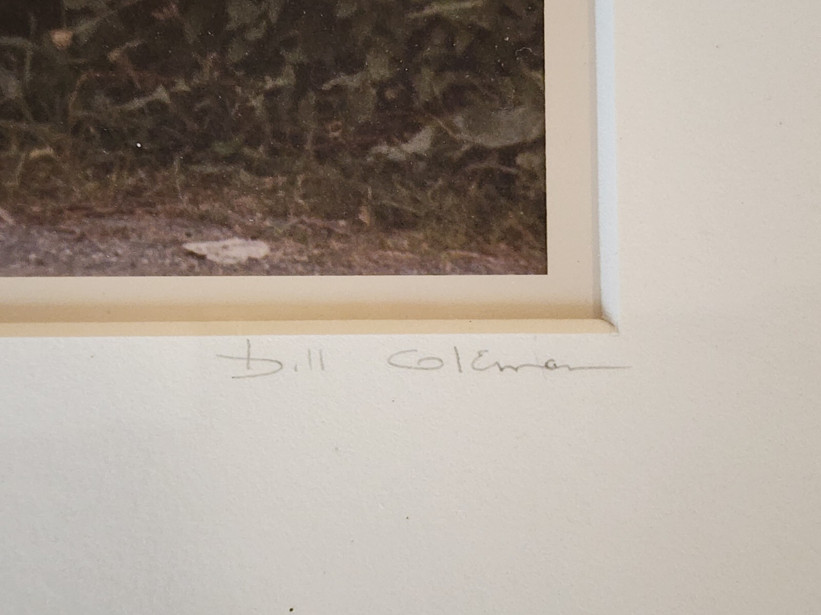 Lot Of 2 Bill Coleman Signed Amish No 22 & 251 Matted Photographs
