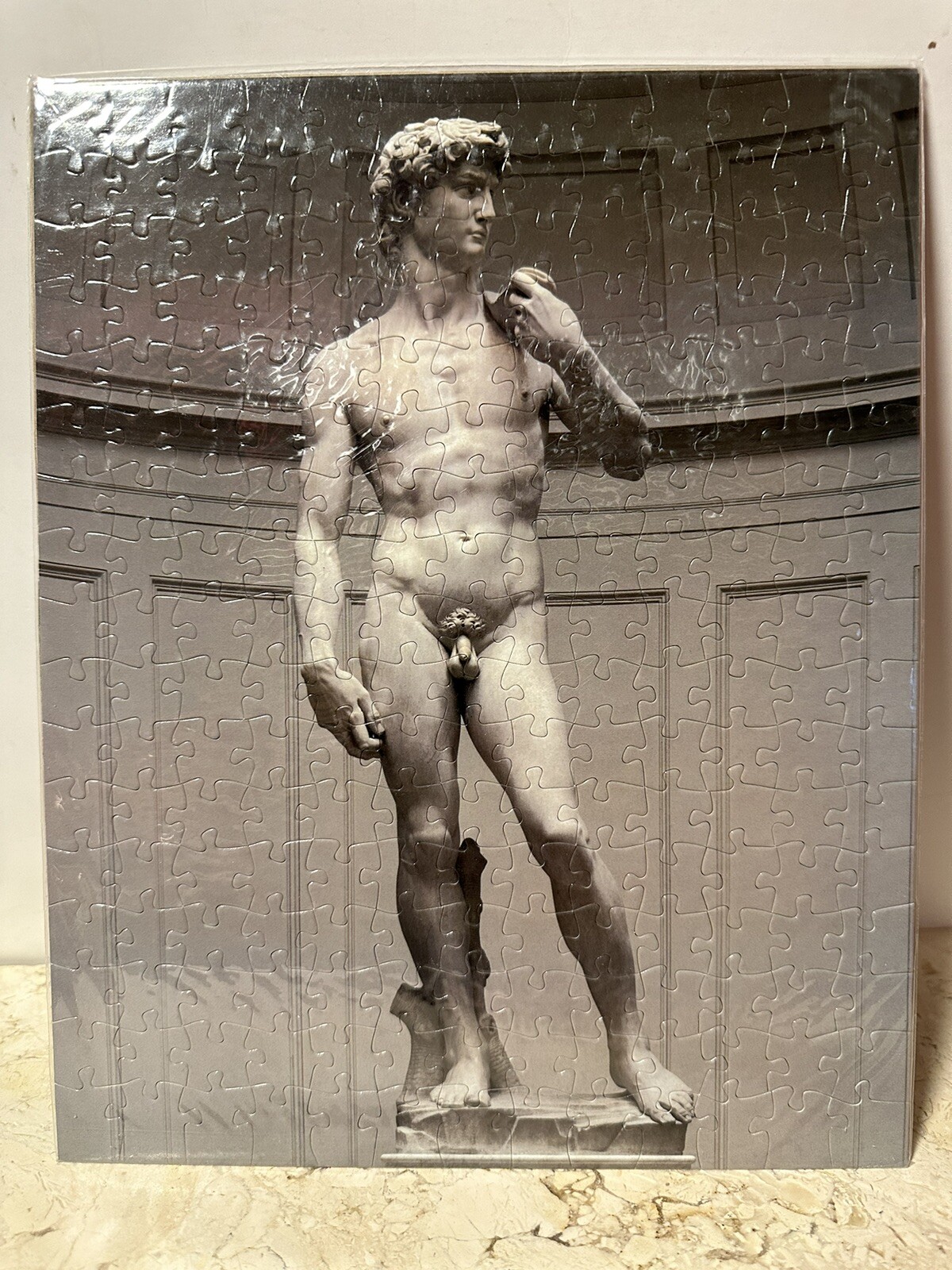 ACADEMY Florence, Italy – Michelangelo DAVID, Original 221pc Puzzle From Museum