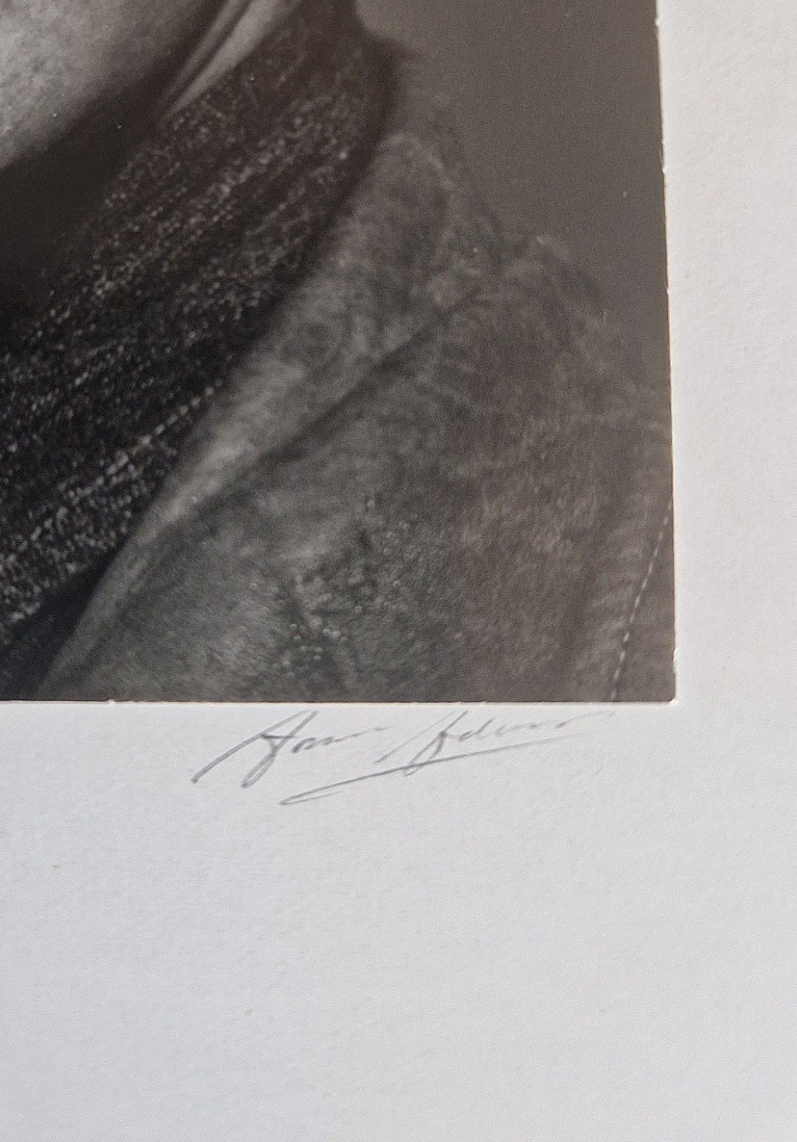 Singed Ansel Adams Rare Portrait Photograph of fellow Douglas Whiteside