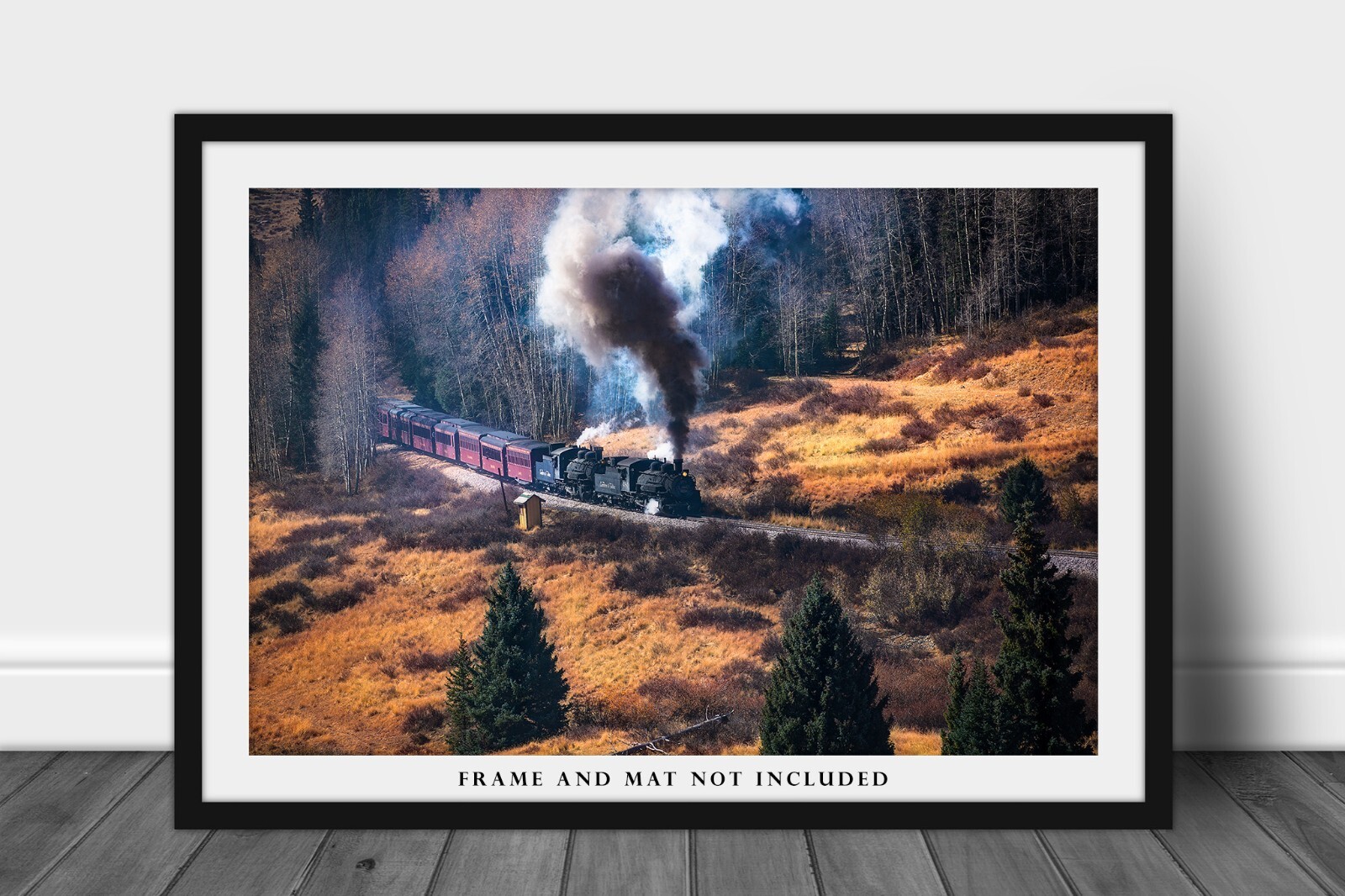 Railroad Wall Art Photography Print – Picture of Steam Train in Colorado