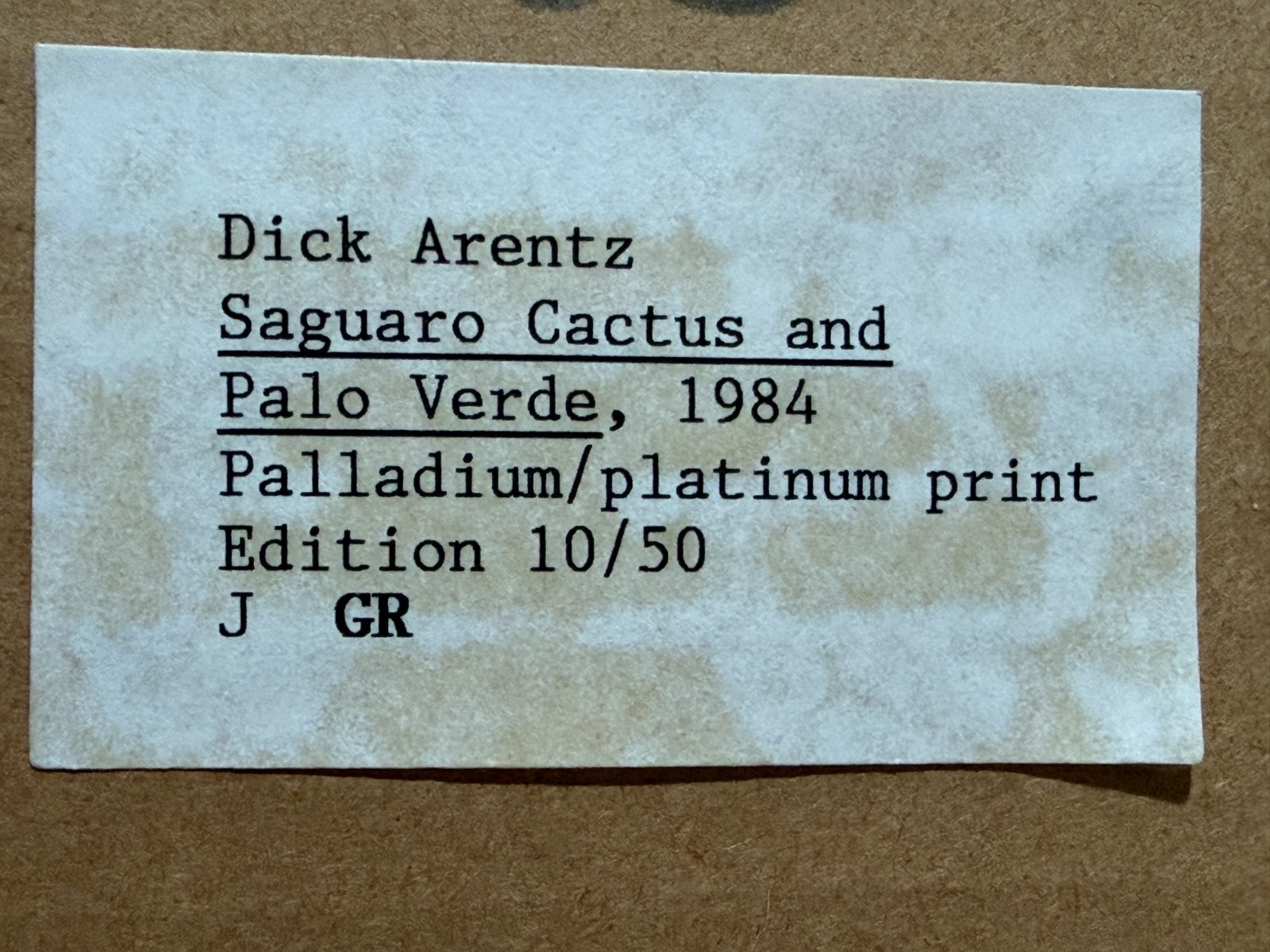 Dick Arentz, Saguaro Cactus and Palo Verde, 1984, Palladium / Platinum Print